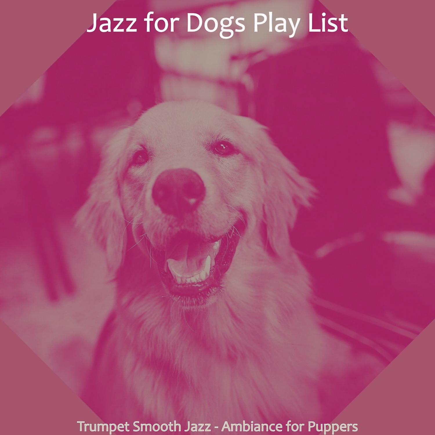 Постер альбома Trumpet Smooth Jazz - Ambiance for Puppers