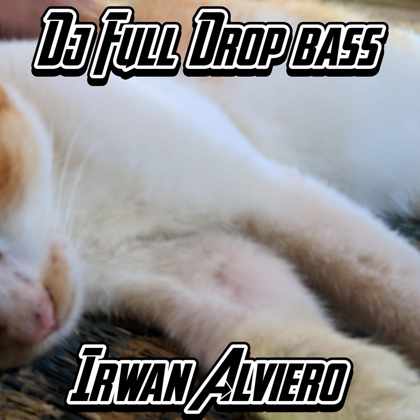 Постер альбома DJ Full Drop Bass
