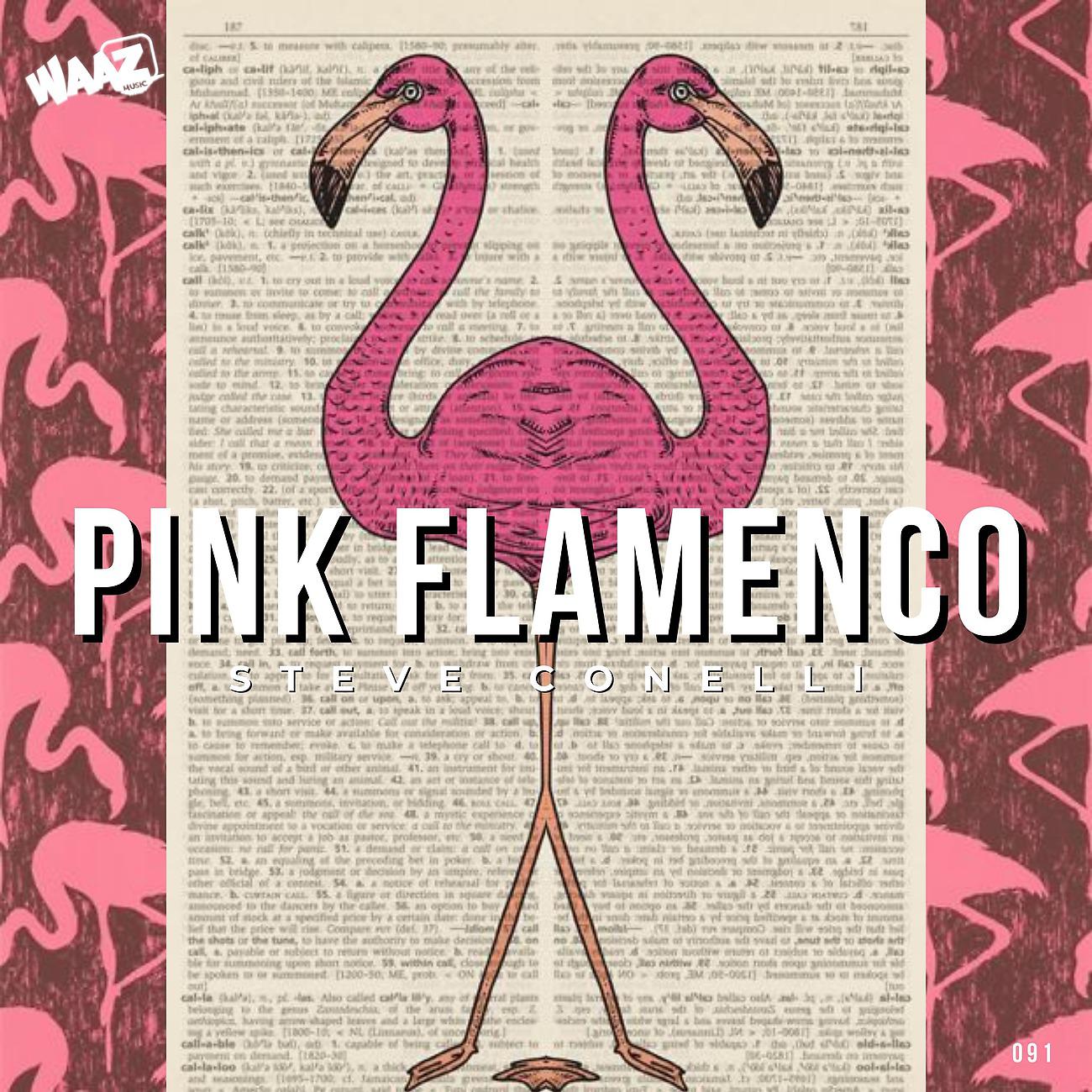 Постер альбома Pink Flamenco