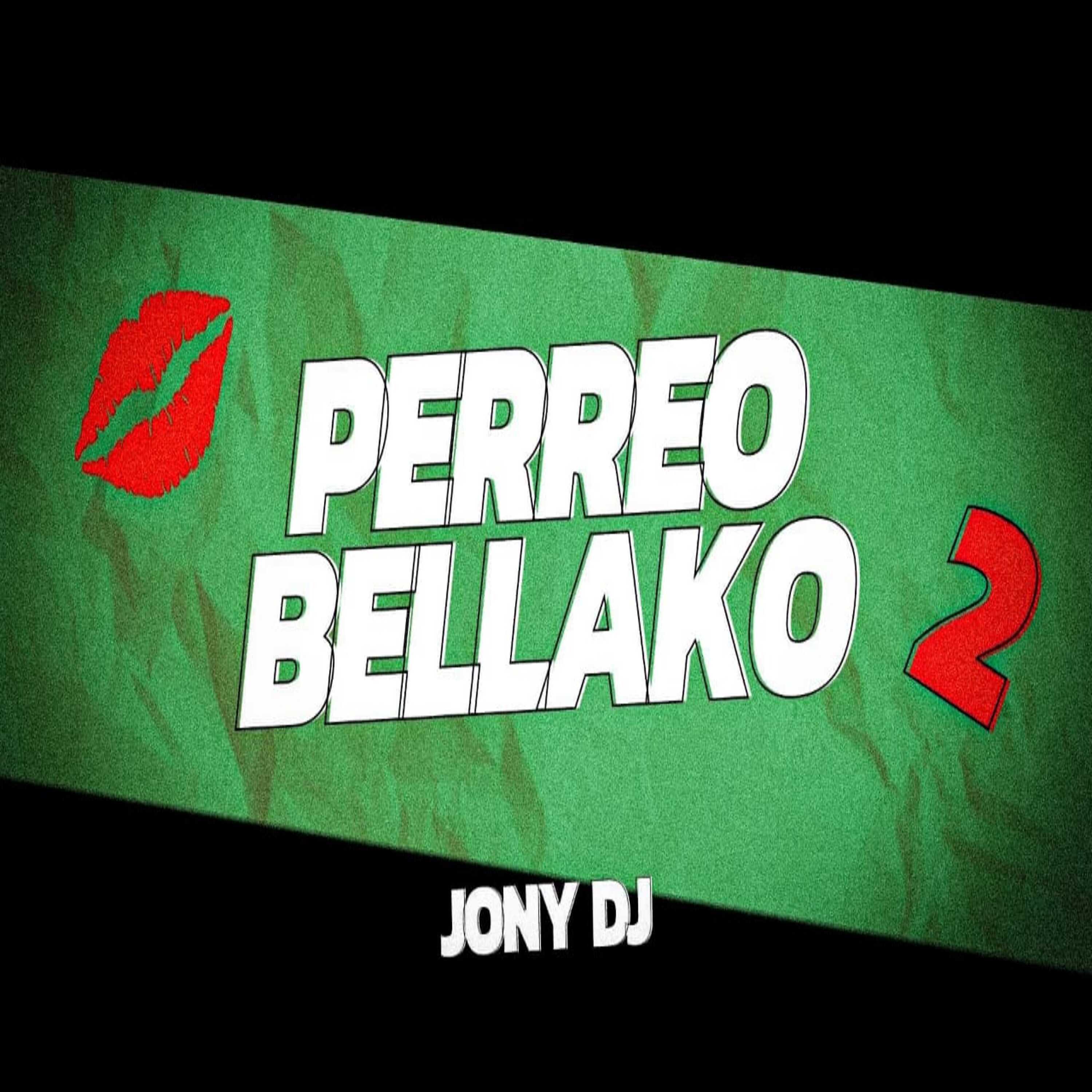 Постер альбома Perreo Bellako 2