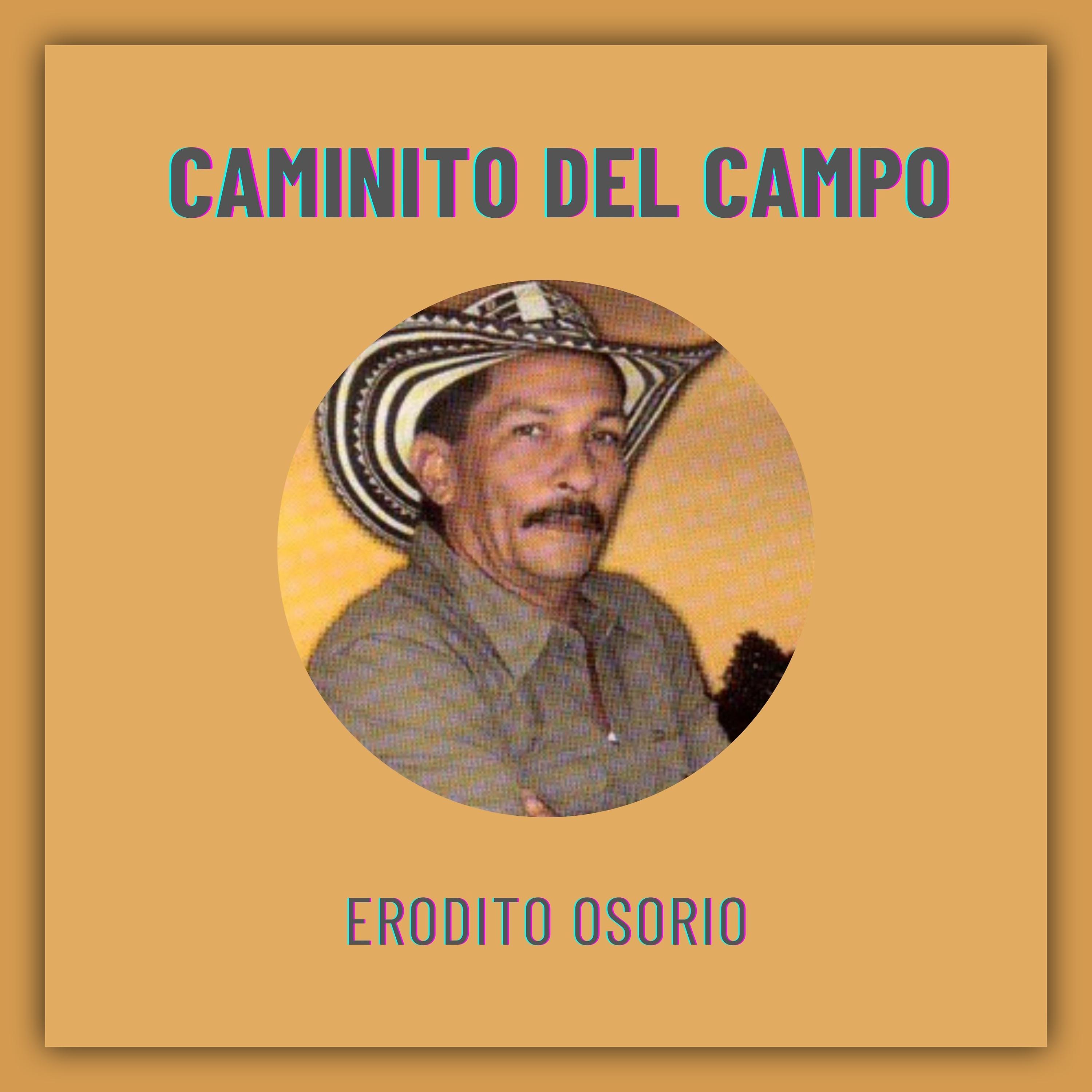 Постер альбома Caminito del Campo