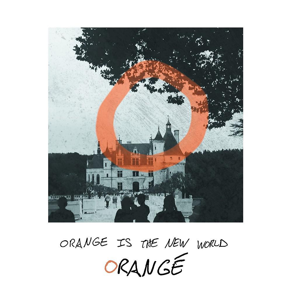 Постер альбома Orange Is the New World