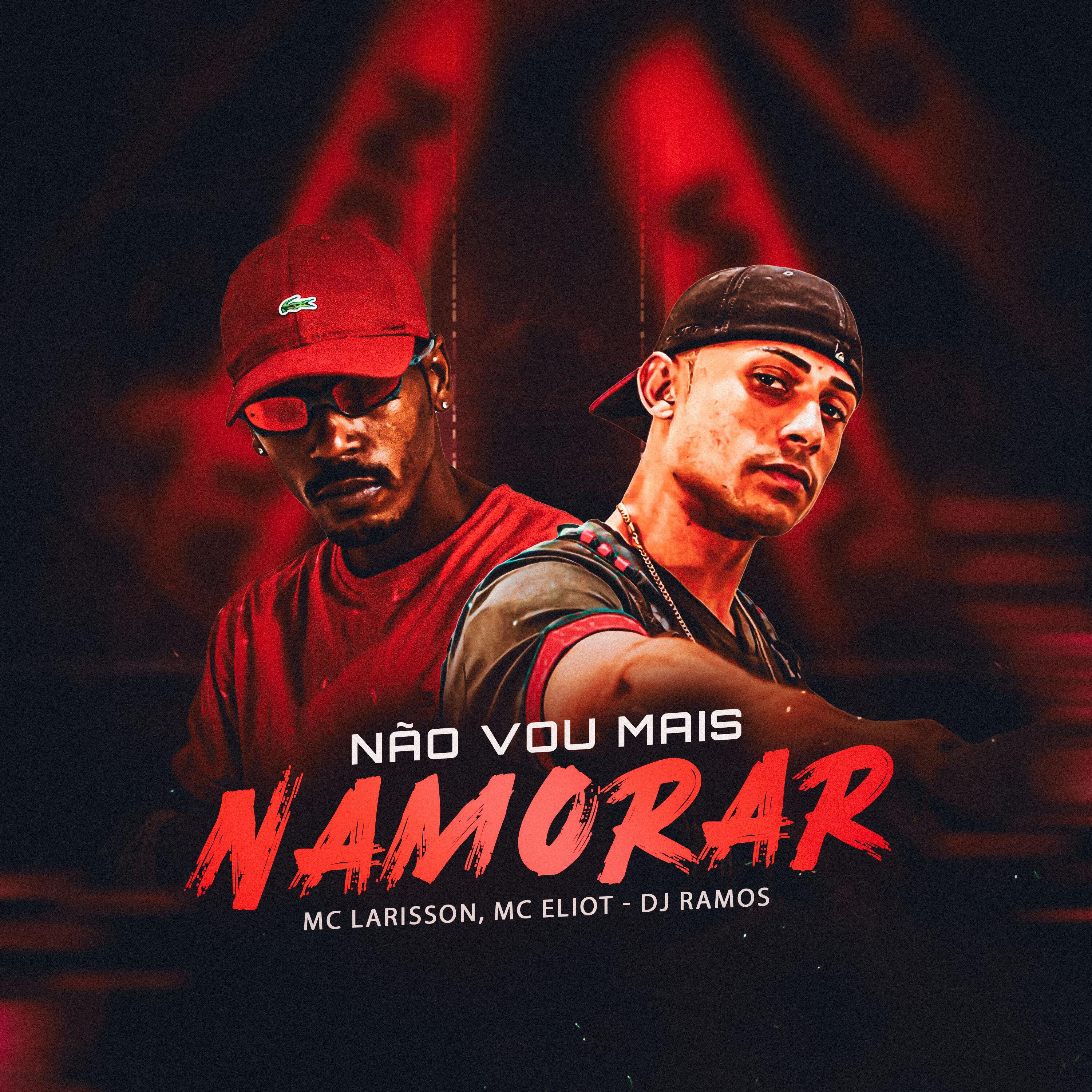 Постер альбома Não Vou Mais Namorar