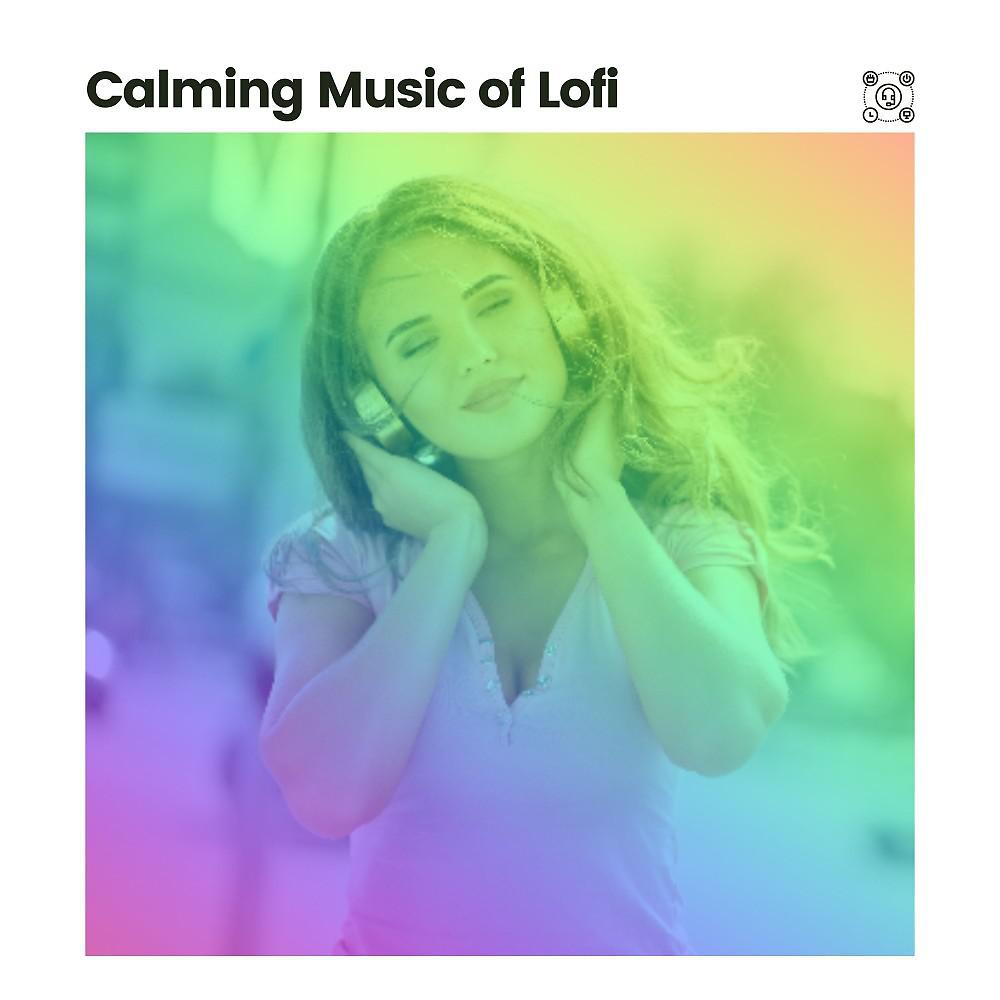 Постер альбома Calming Music of Lofi