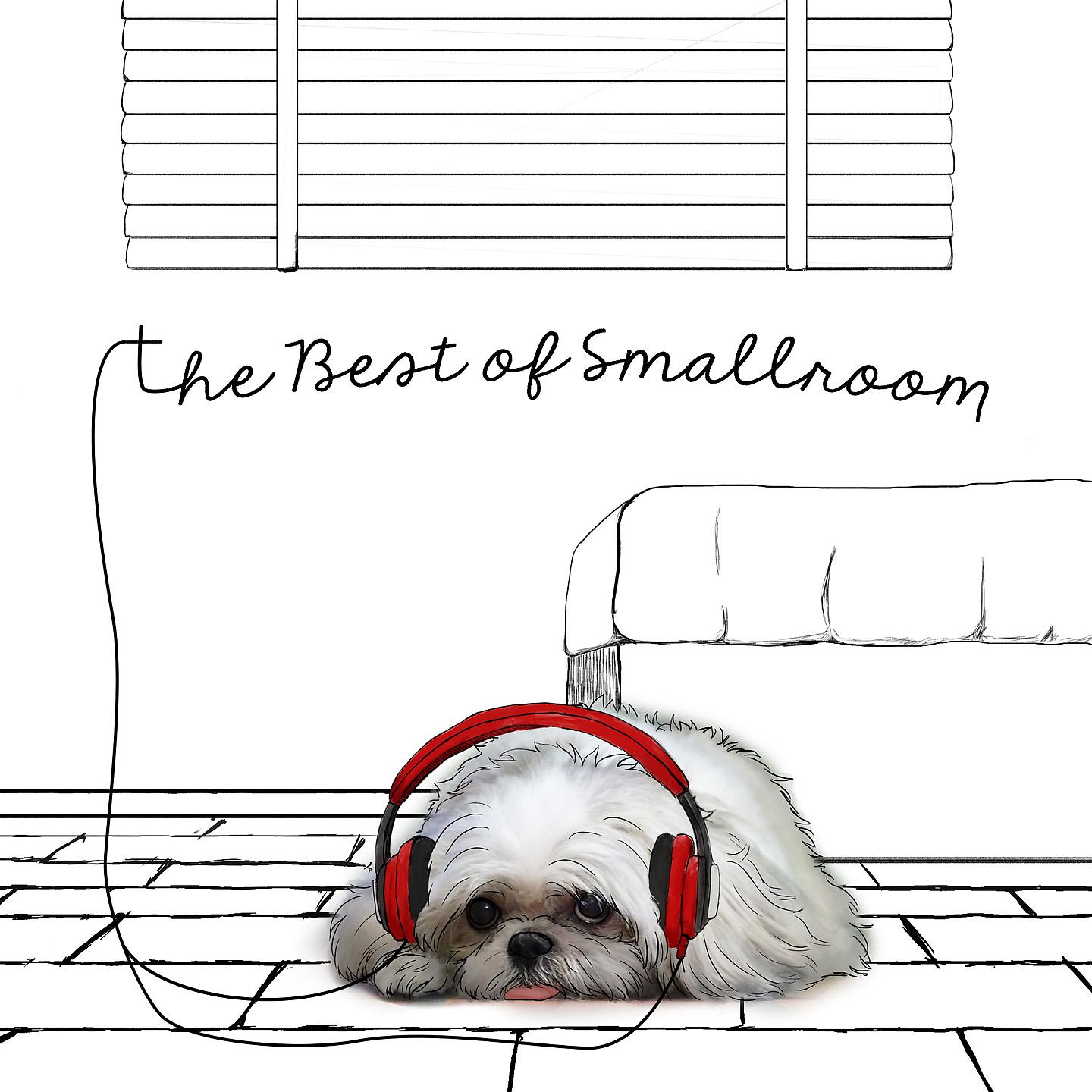 Постер альбома The Best of Smallroom