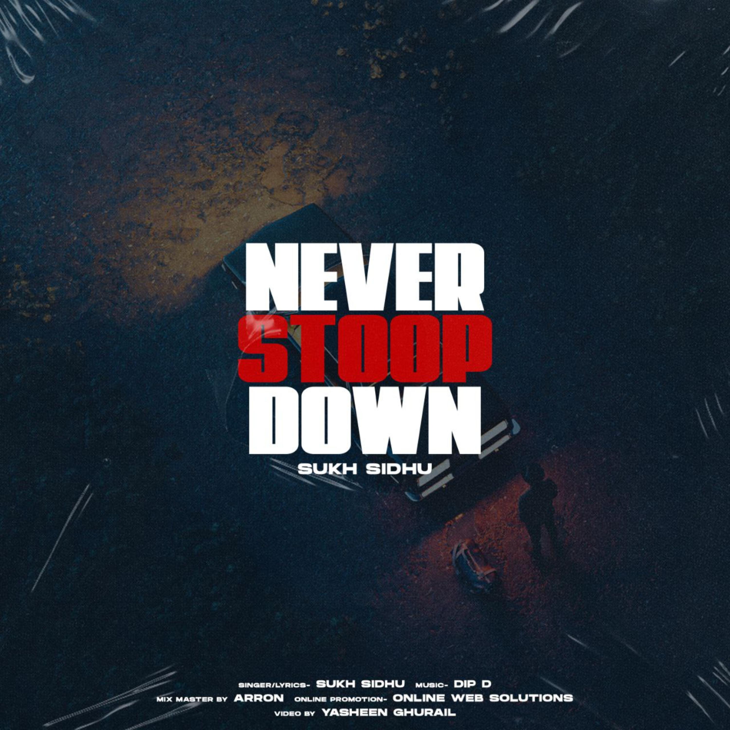 Постер альбома Never Stoop Down