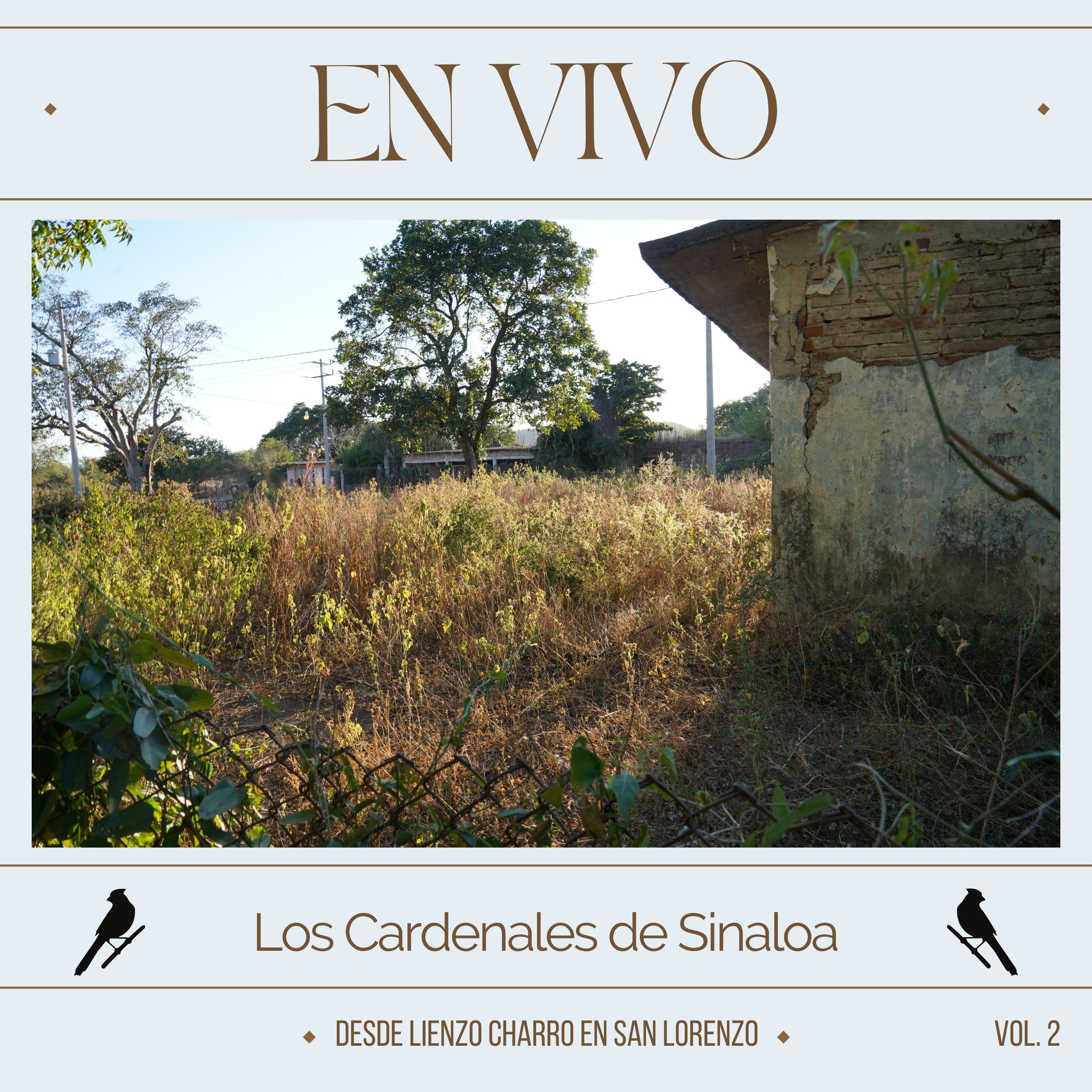 Постер альбома Desde Lienzo Charro en San Lorenzo, Vol. 2