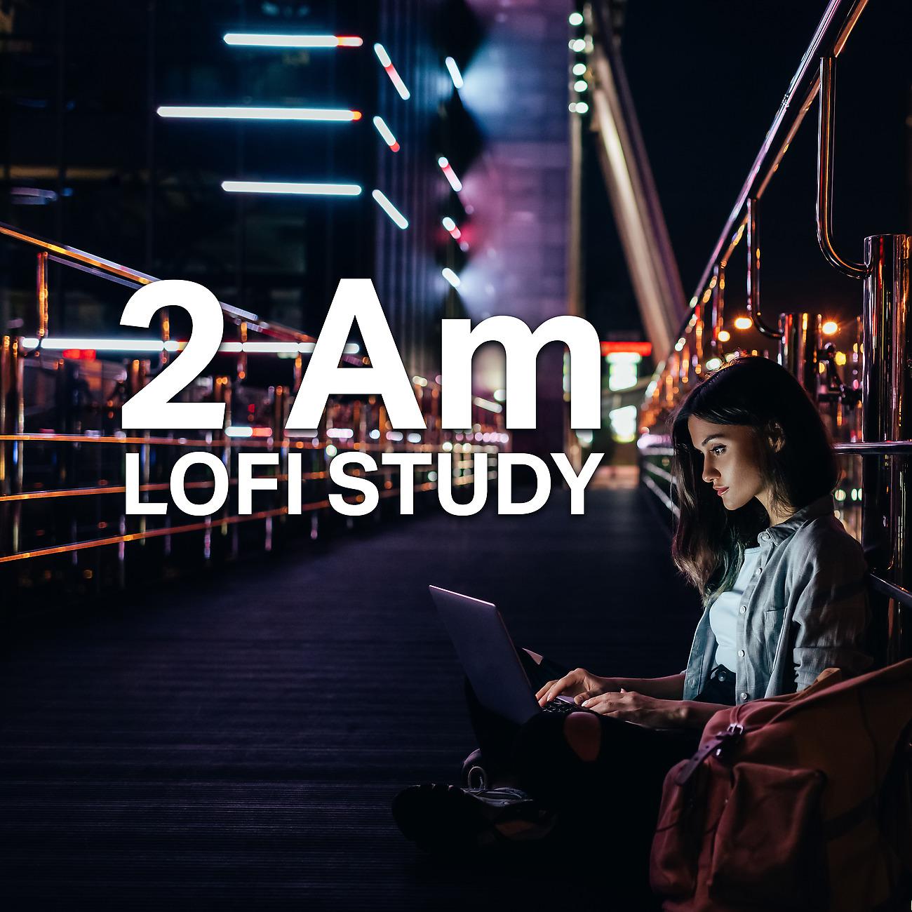 Постер альбома 2 Am Lofi Study