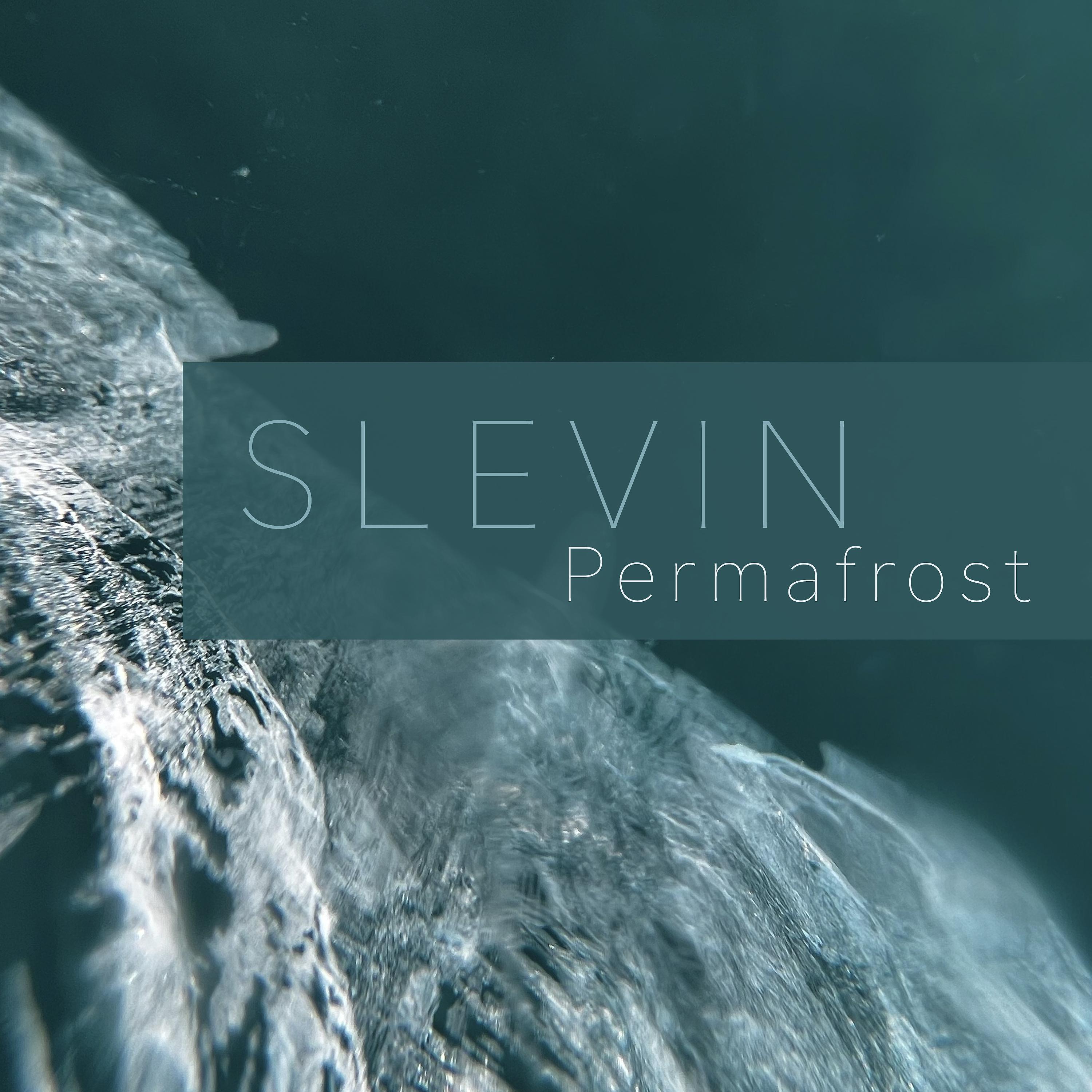 Постер альбома Permafrost
