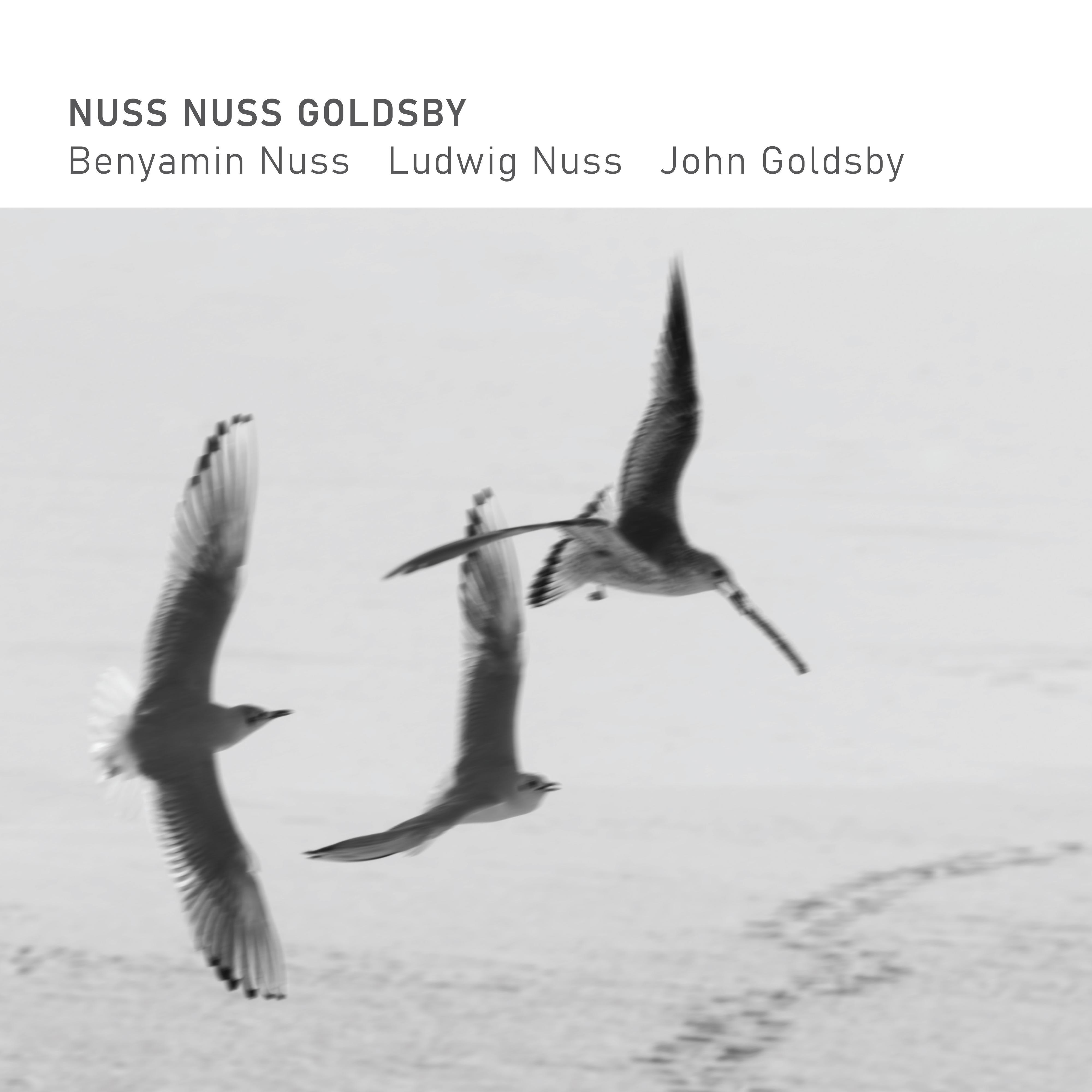 Постер альбома Nuss Nuss Goldsby