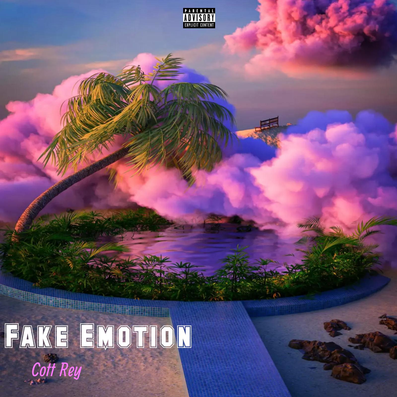 Постер альбома Fake Emotion