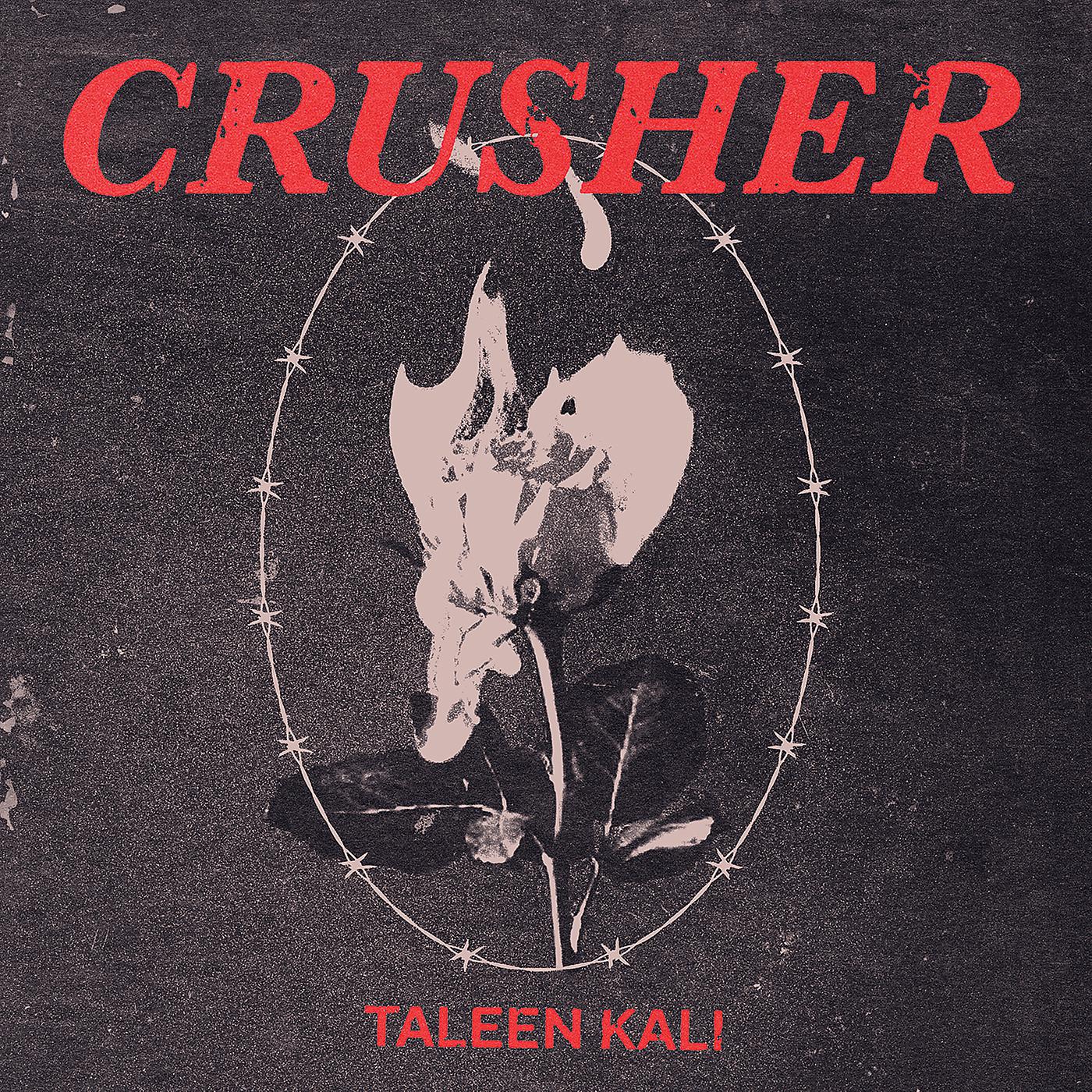 Постер альбома Crusher