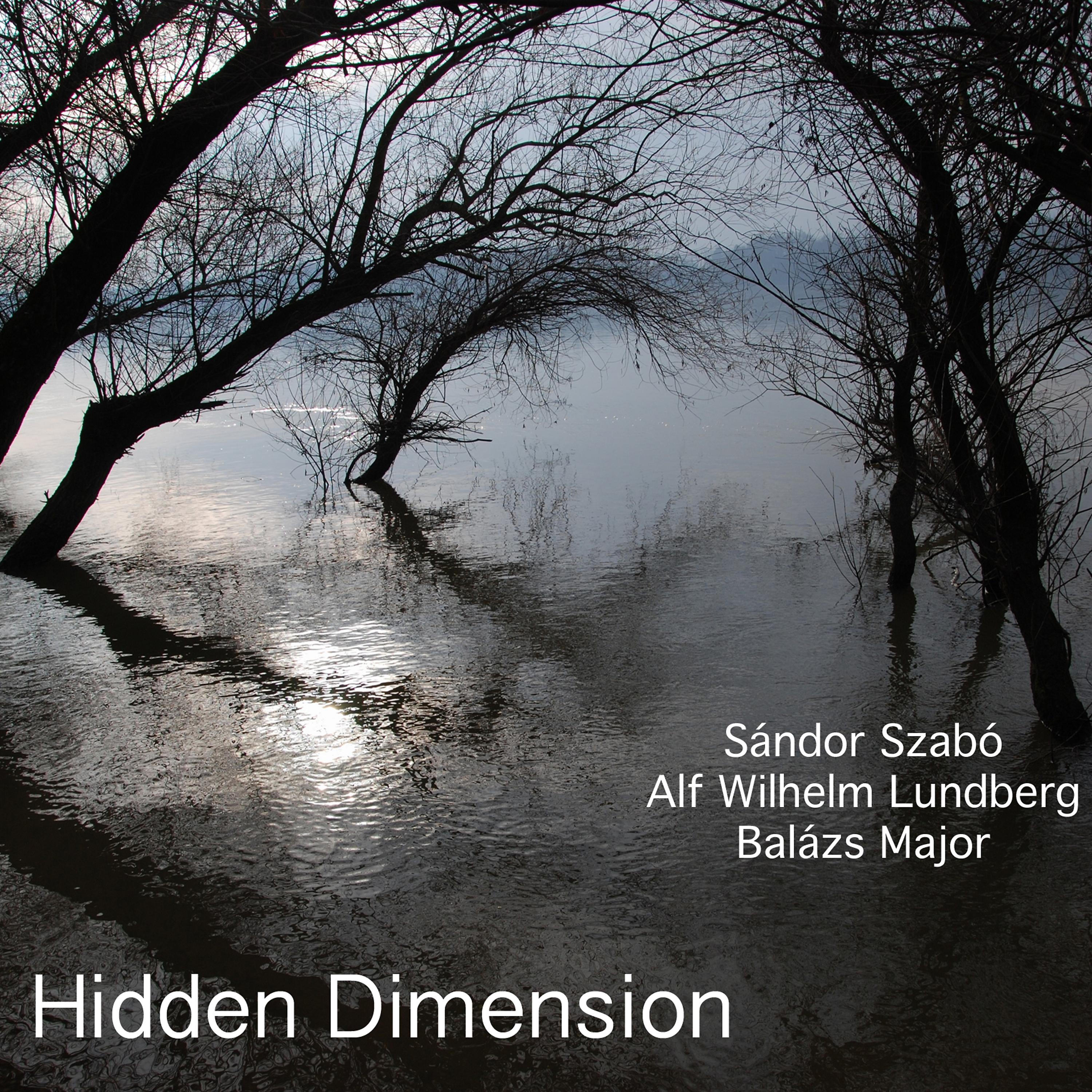 Постер альбома Hidden Dimension