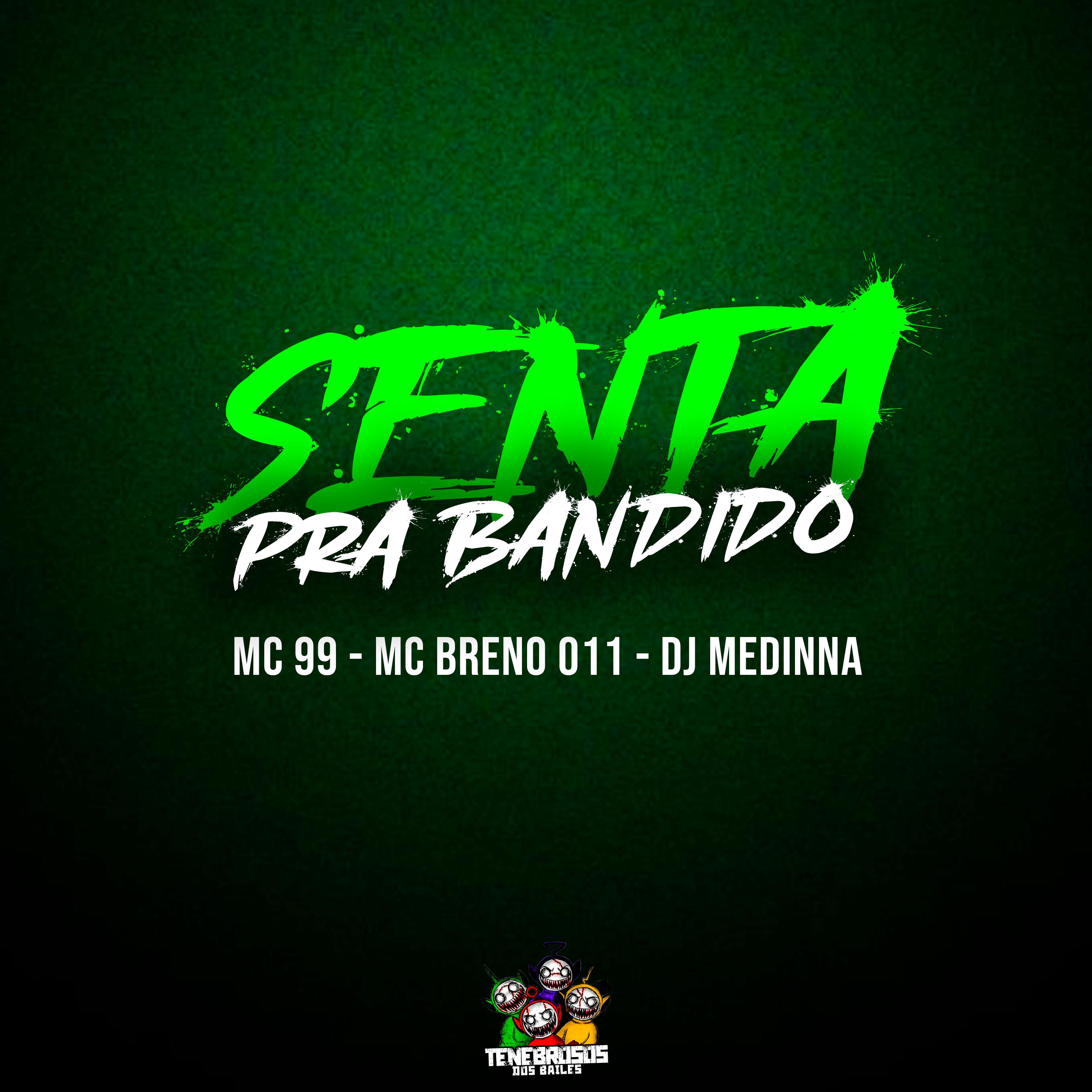 Постер альбома Senta pra Bandido