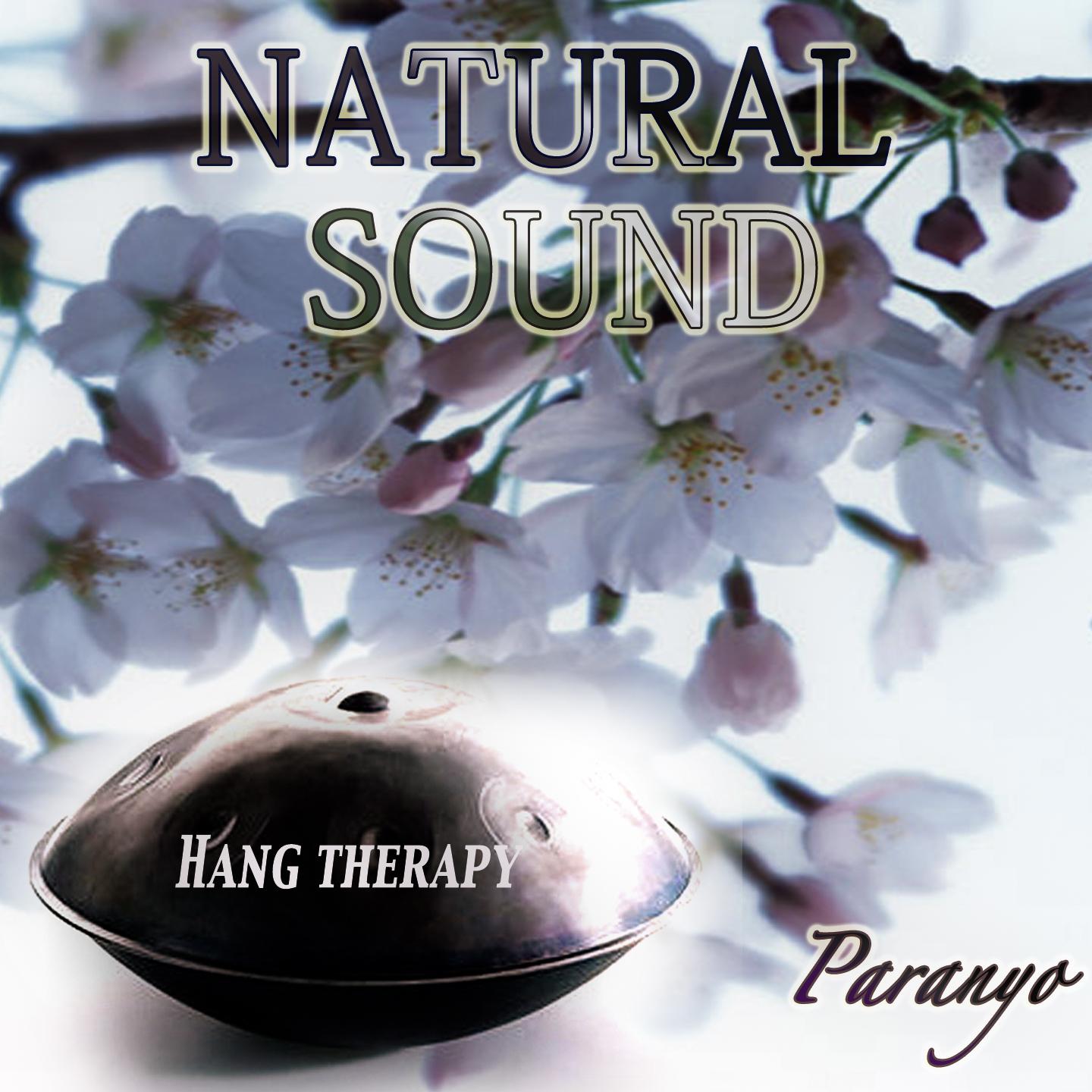Постер альбома Natural Sound: Hang Terapy