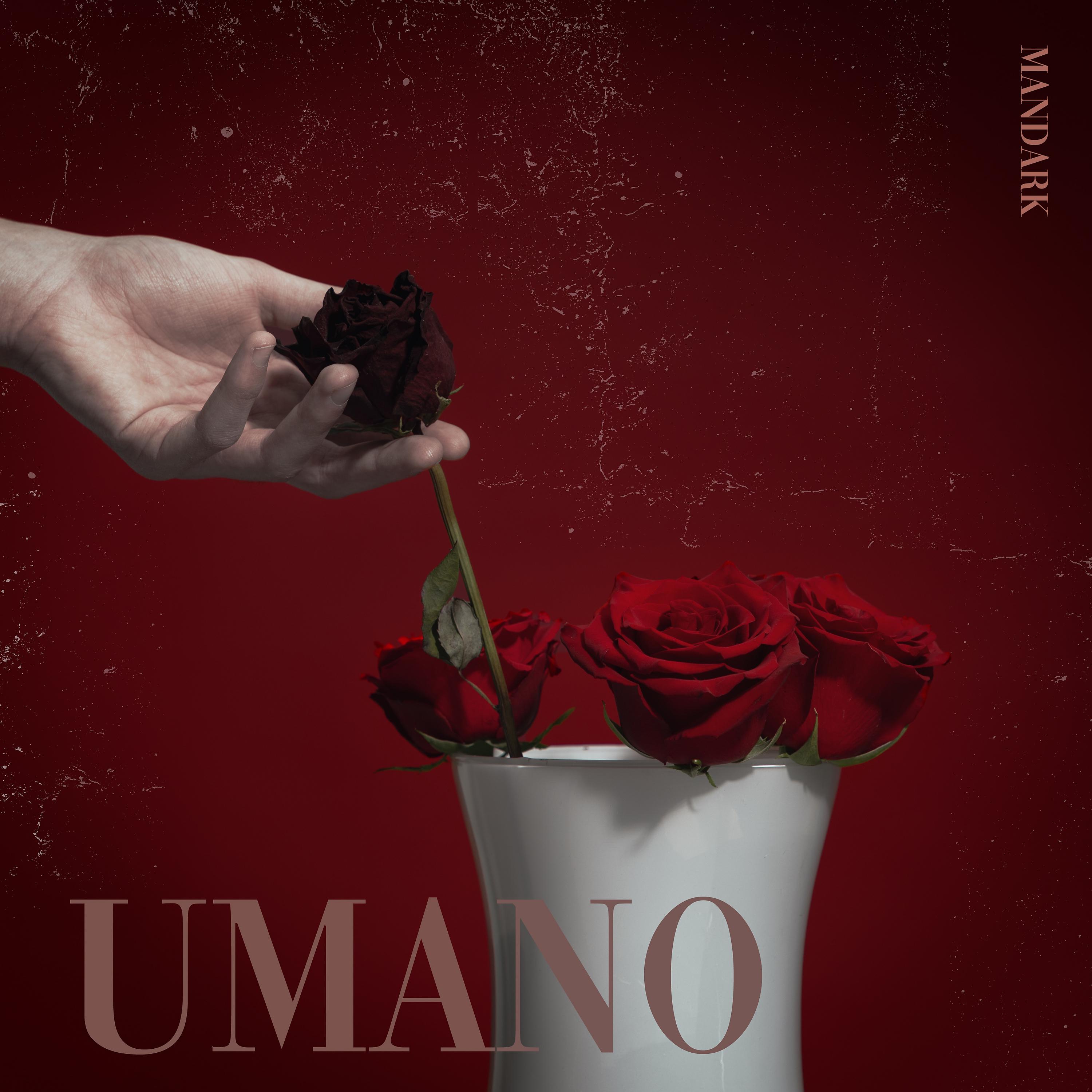 Постер альбома Umano