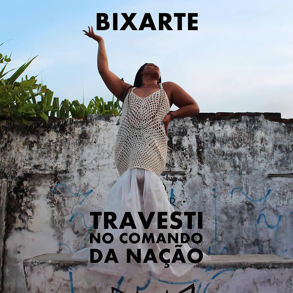 Постер альбома Travesti no Comando da Nação