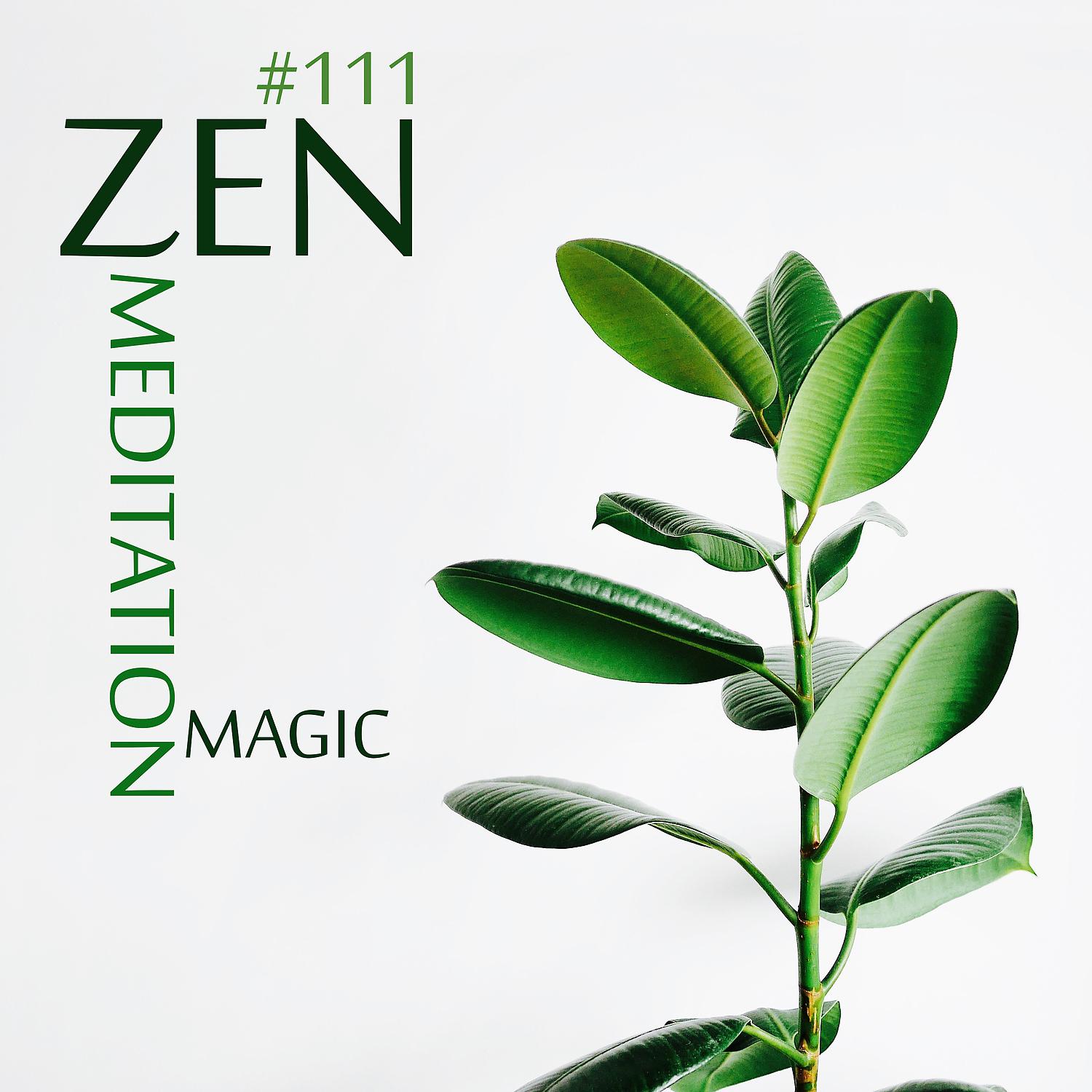Постер альбома # 111: Zen Meditation Magic - Secrets to Finding Time for Peace of Mind Every Day, Sleep, Mindfulness, Yoga & SPA