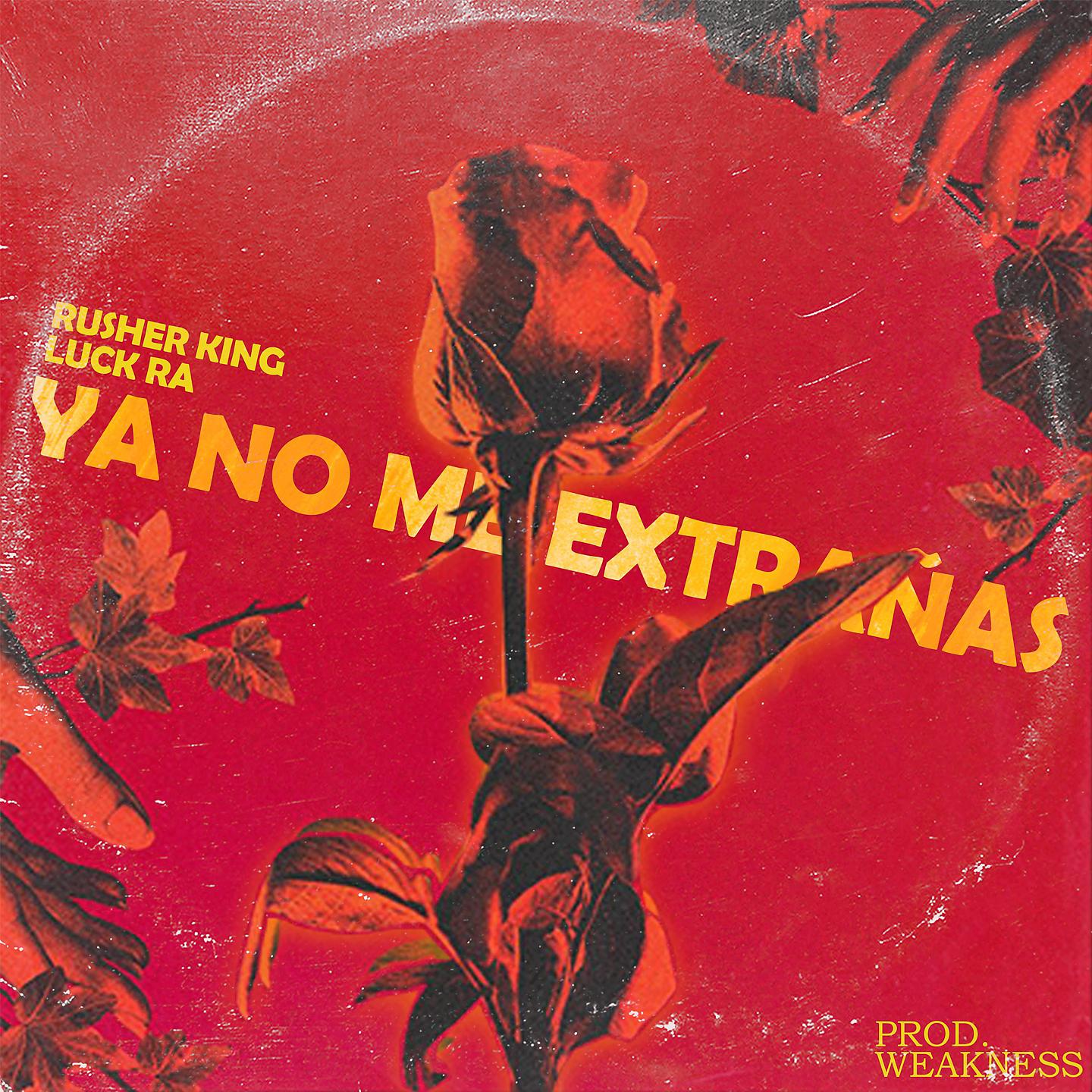 Постер альбома Ya No Me Extrañas