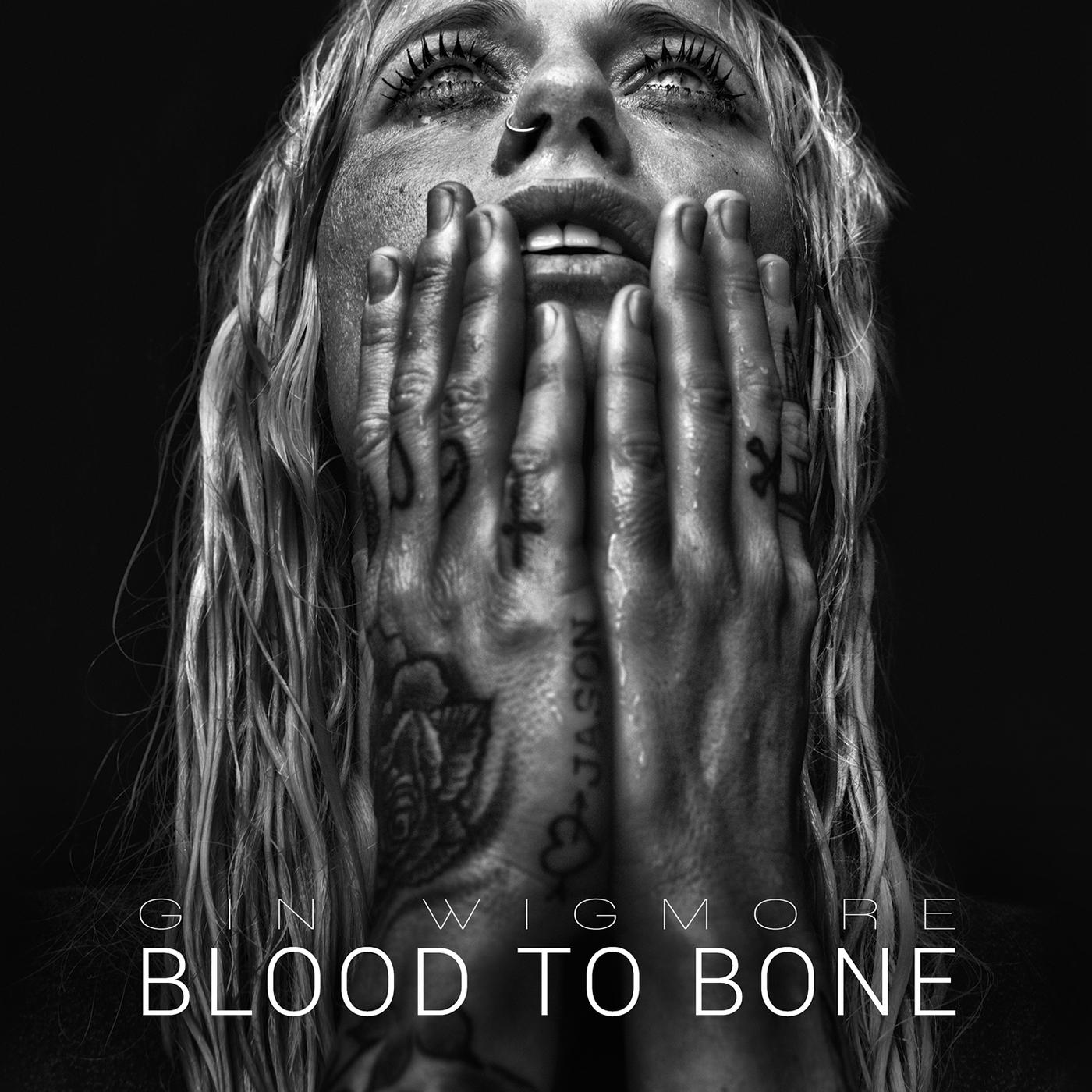 Постер альбома Blood To Bone