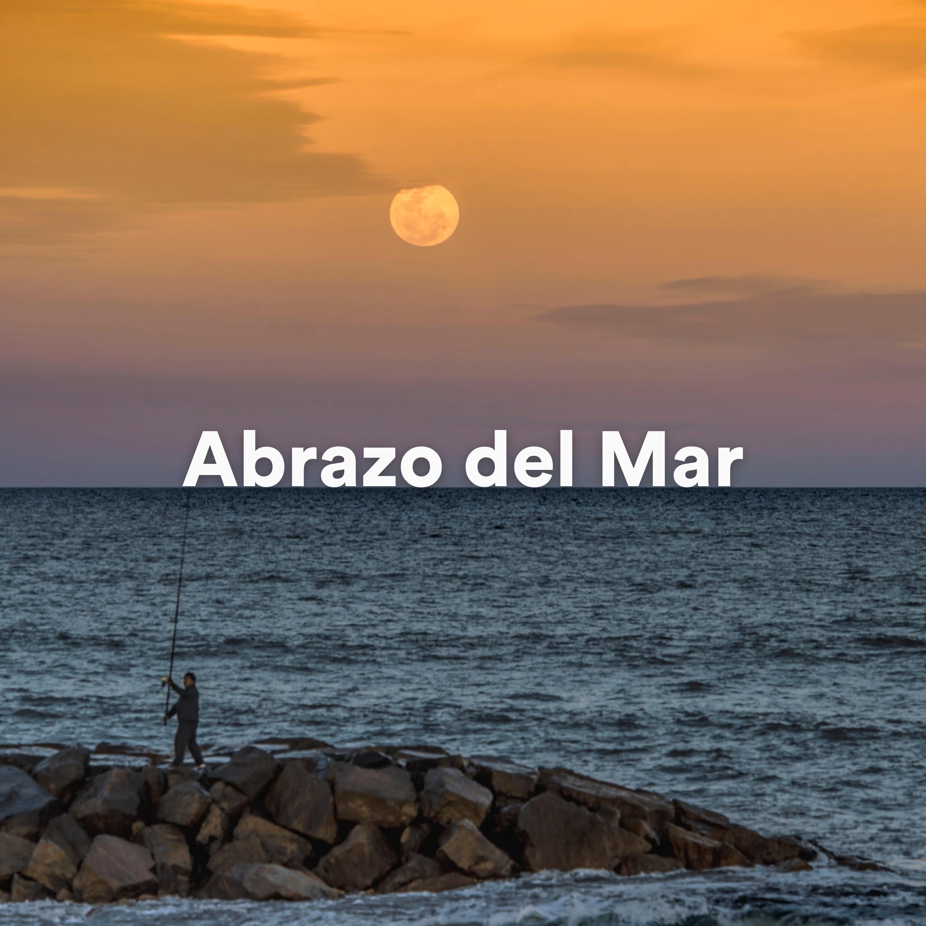 Постер альбома Abrazo del Mar