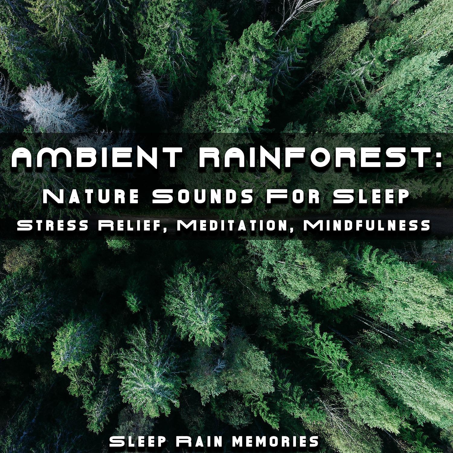 Постер альбома Ambient Rainforest: Nature Sounds For Sleep, Stress Relief, Meditation, Mindfulness
