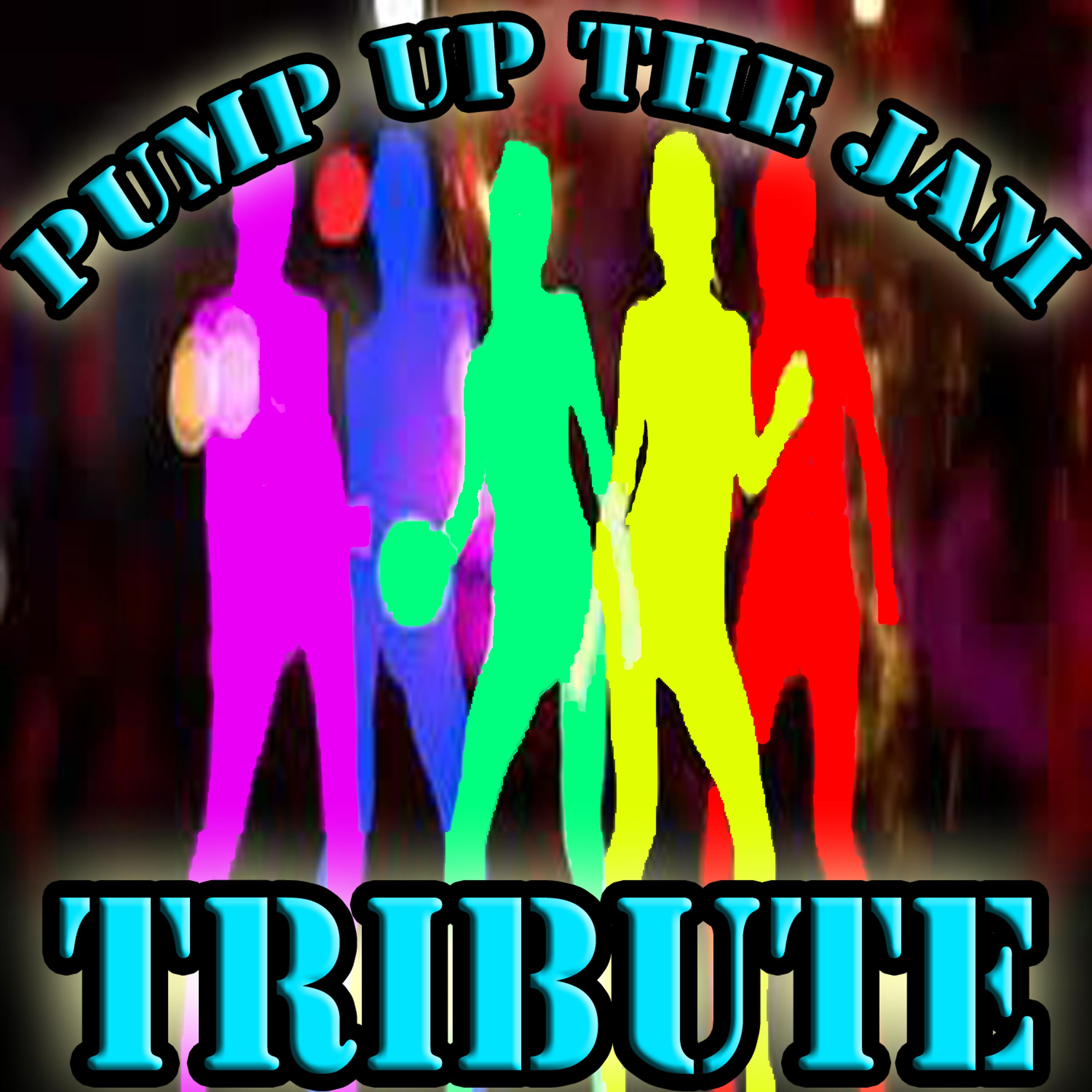 Постер альбома Pump Up the Jam (Tribute)