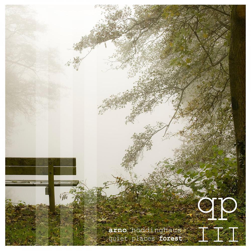 Постер альбома Quiet Places III - Forest