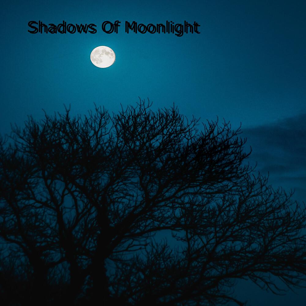 Постер альбома Shadows of Moonlight