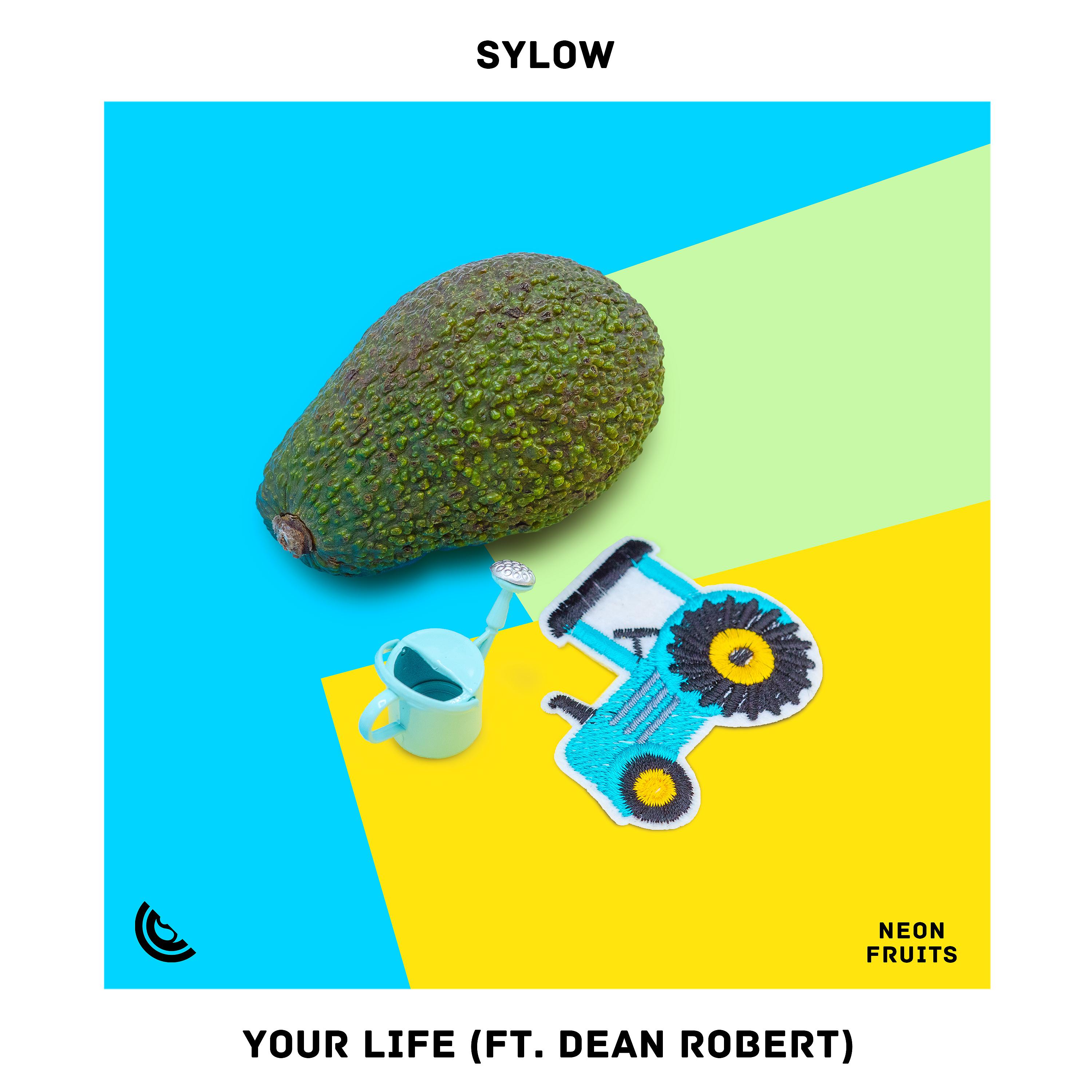 Постер альбома Your Life (feat. Dean Robert)