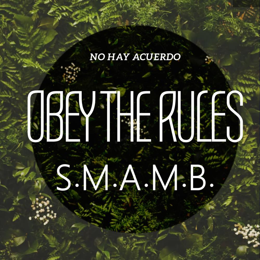 Постер альбома Obey The Rules