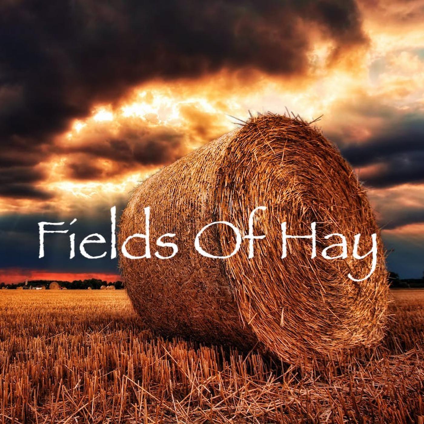 Постер альбома Fields of Hay