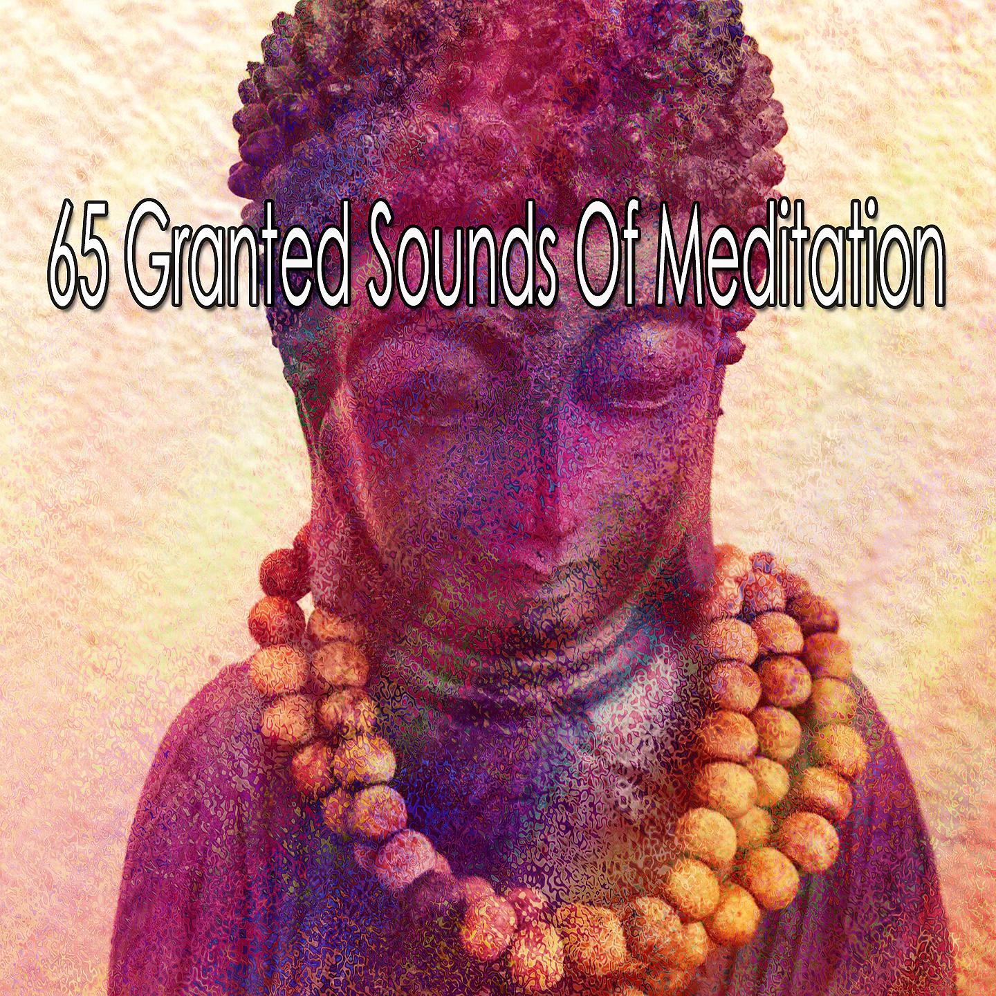 Постер альбома 65 звуков медитации