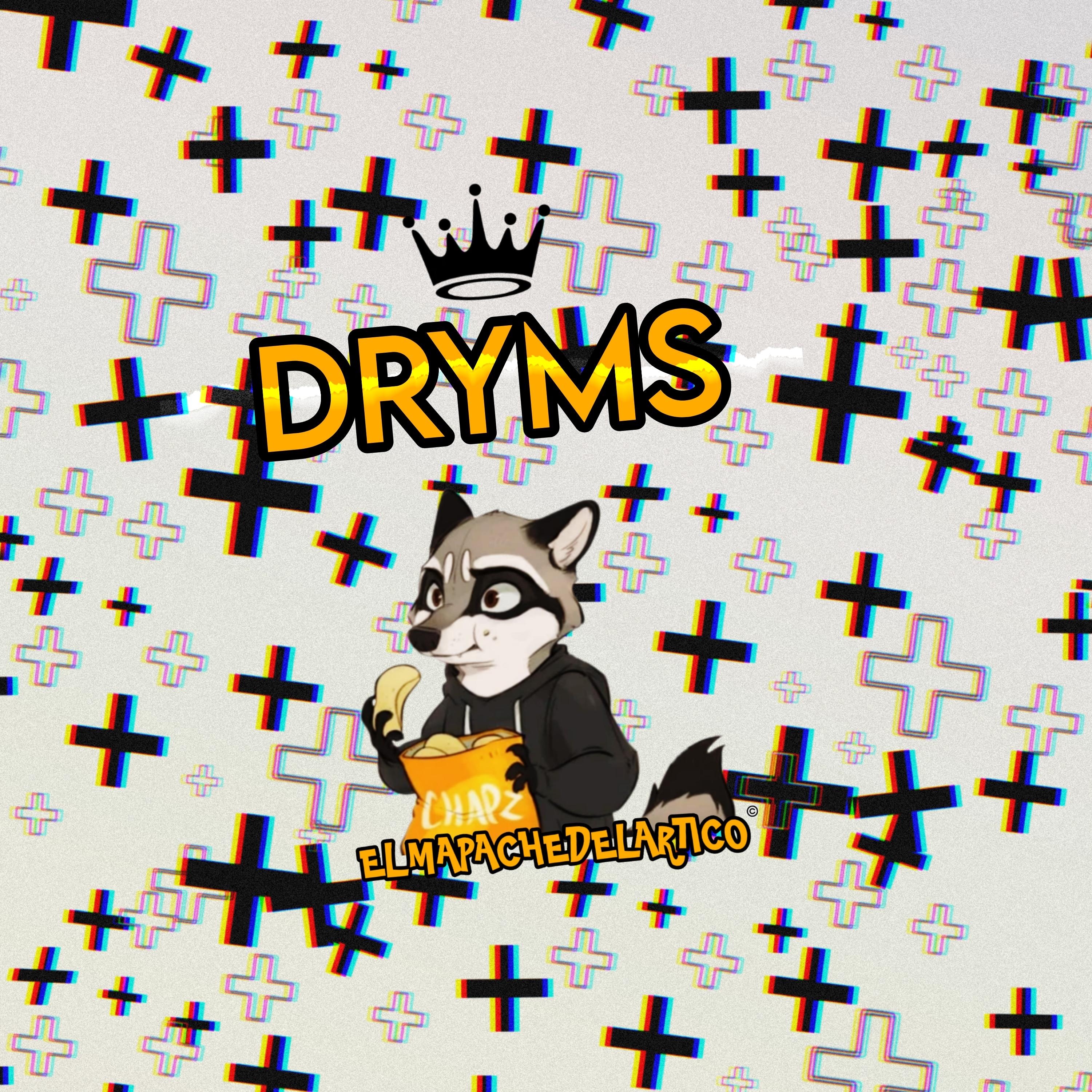 Постер альбома Dryms