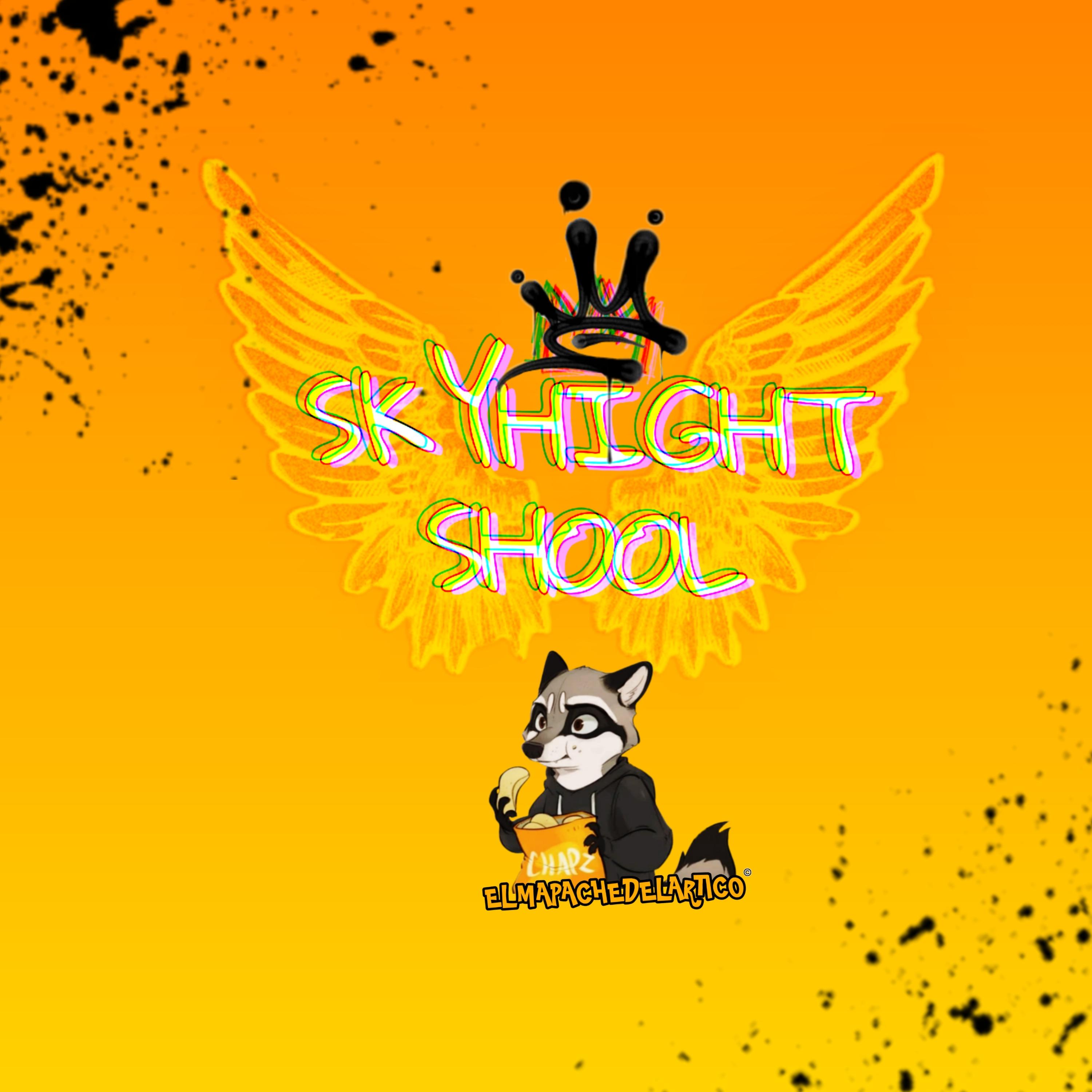 Постер альбома Skyhight Shool