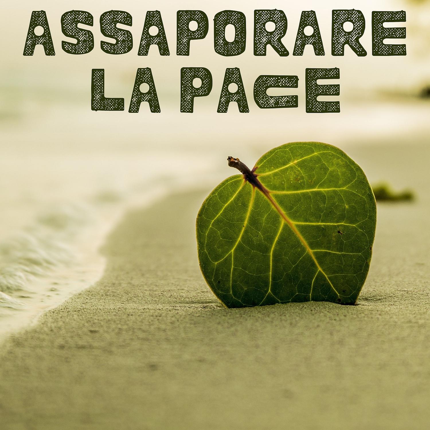 Постер альбома Assaporare La Pace
