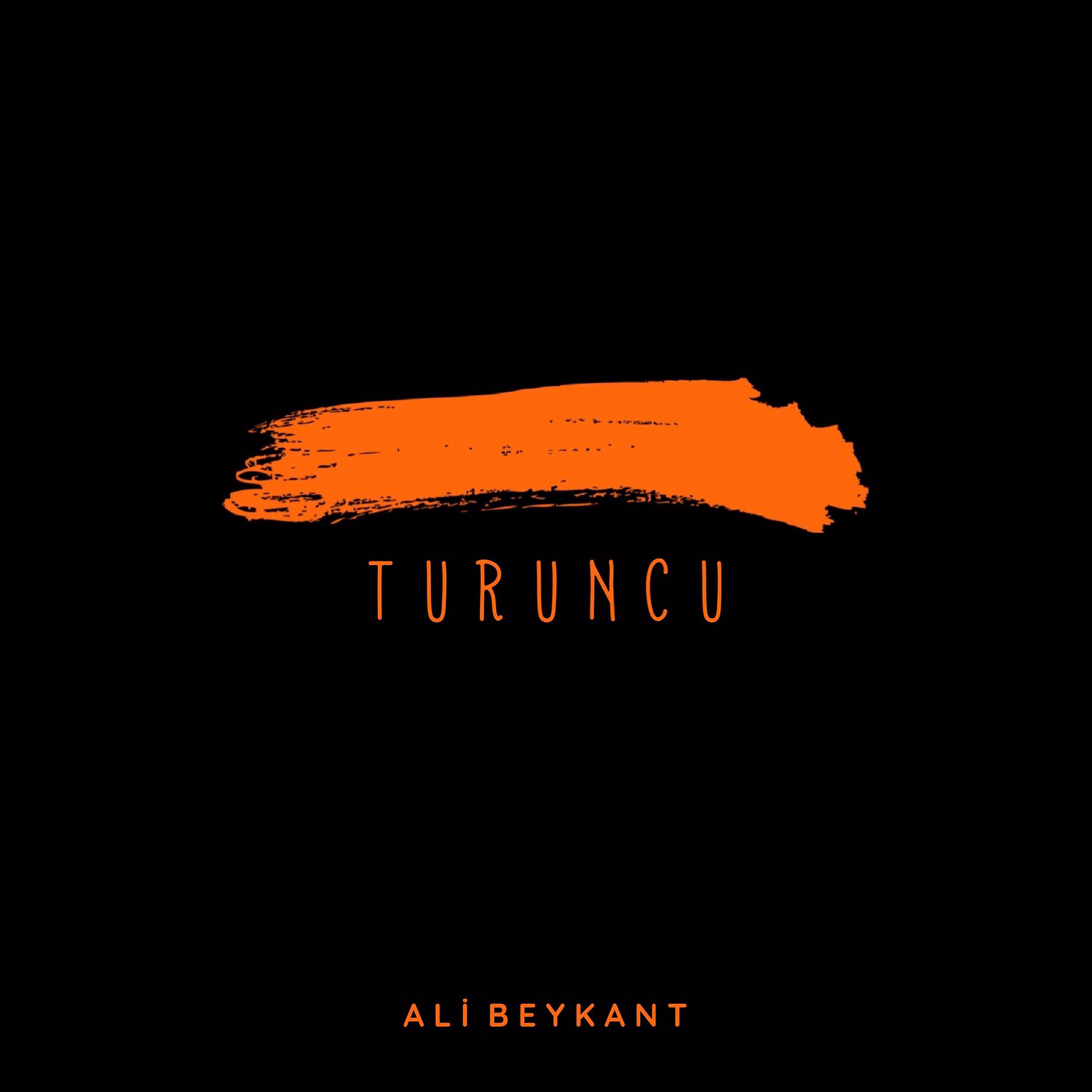 Постер альбома Turuncu