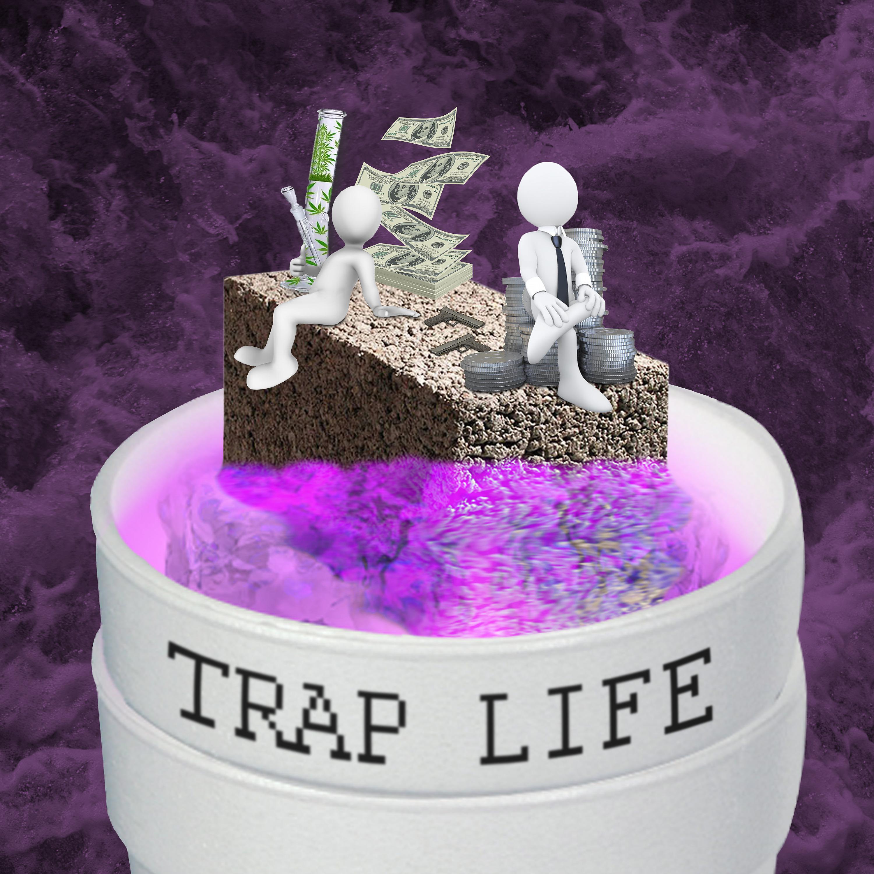 Постер альбома Trap Life