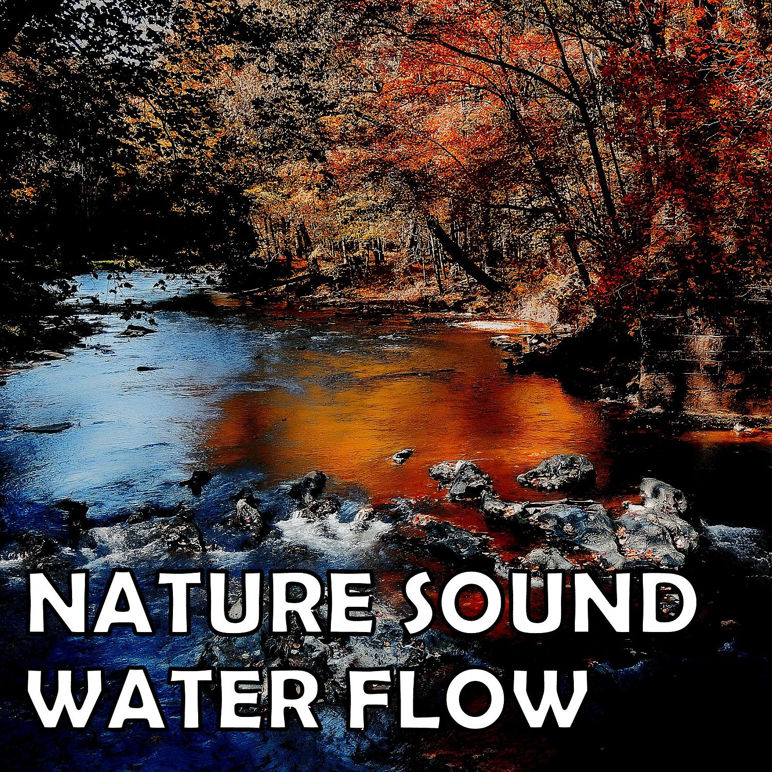 Постер альбома Nature Sound: Water Flow