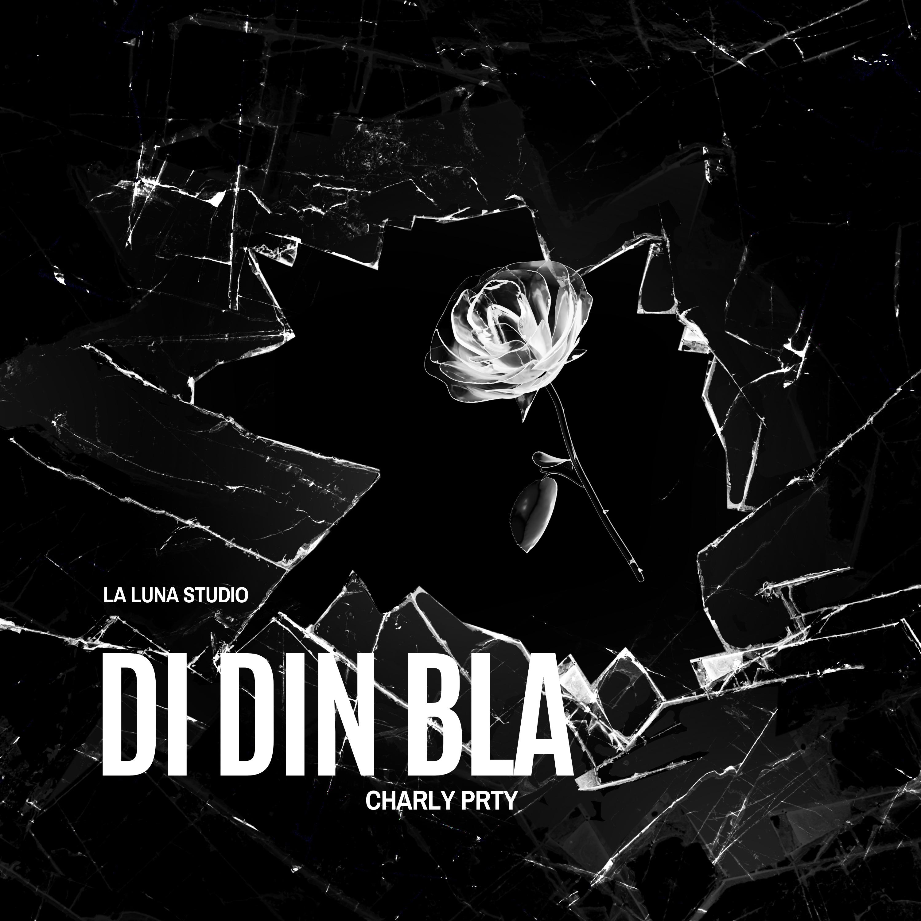 Постер альбома Di Din Bla