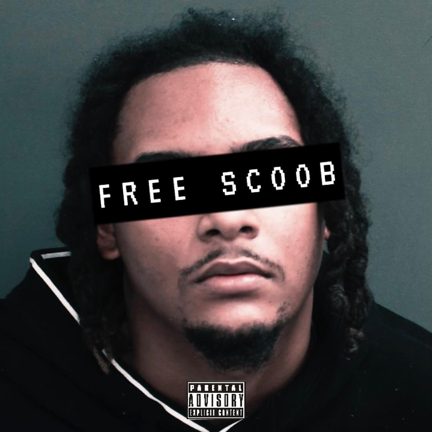 Постер альбома Free Skoob