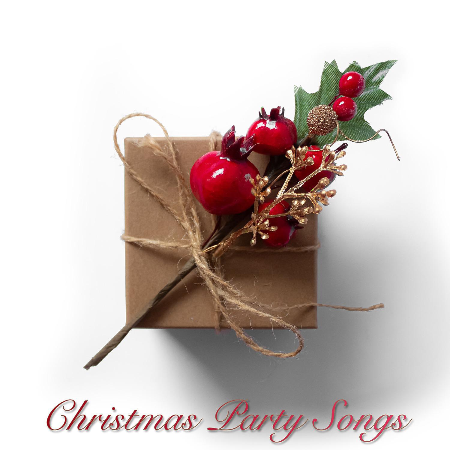 Постер альбома Christmas Party Songs