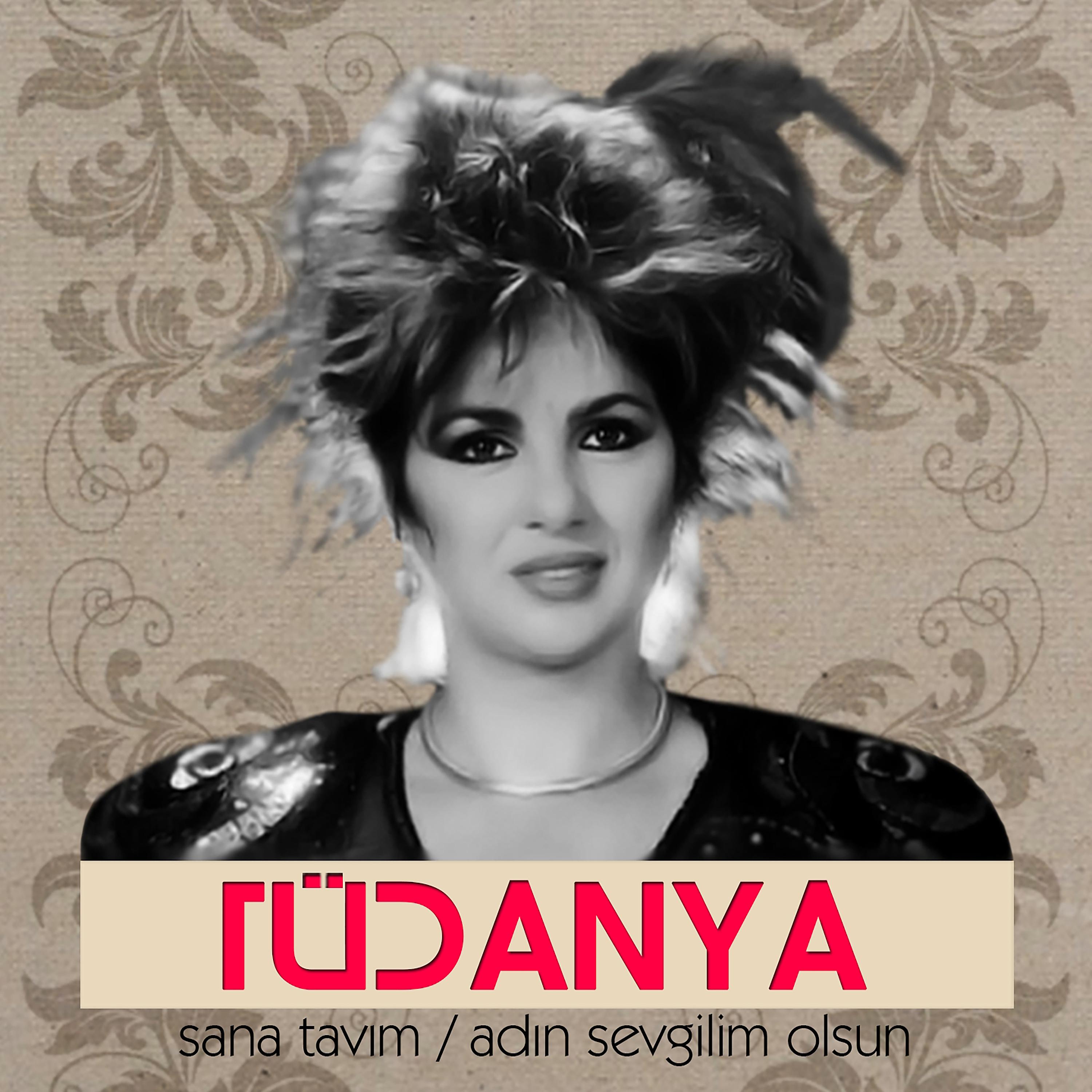 Постер альбома Sana Tavım / Adın Sevgilim Olsun