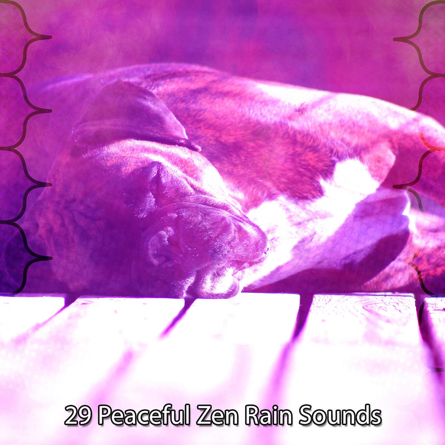 Постер альбома 29 мирных дзен-звуков дождя