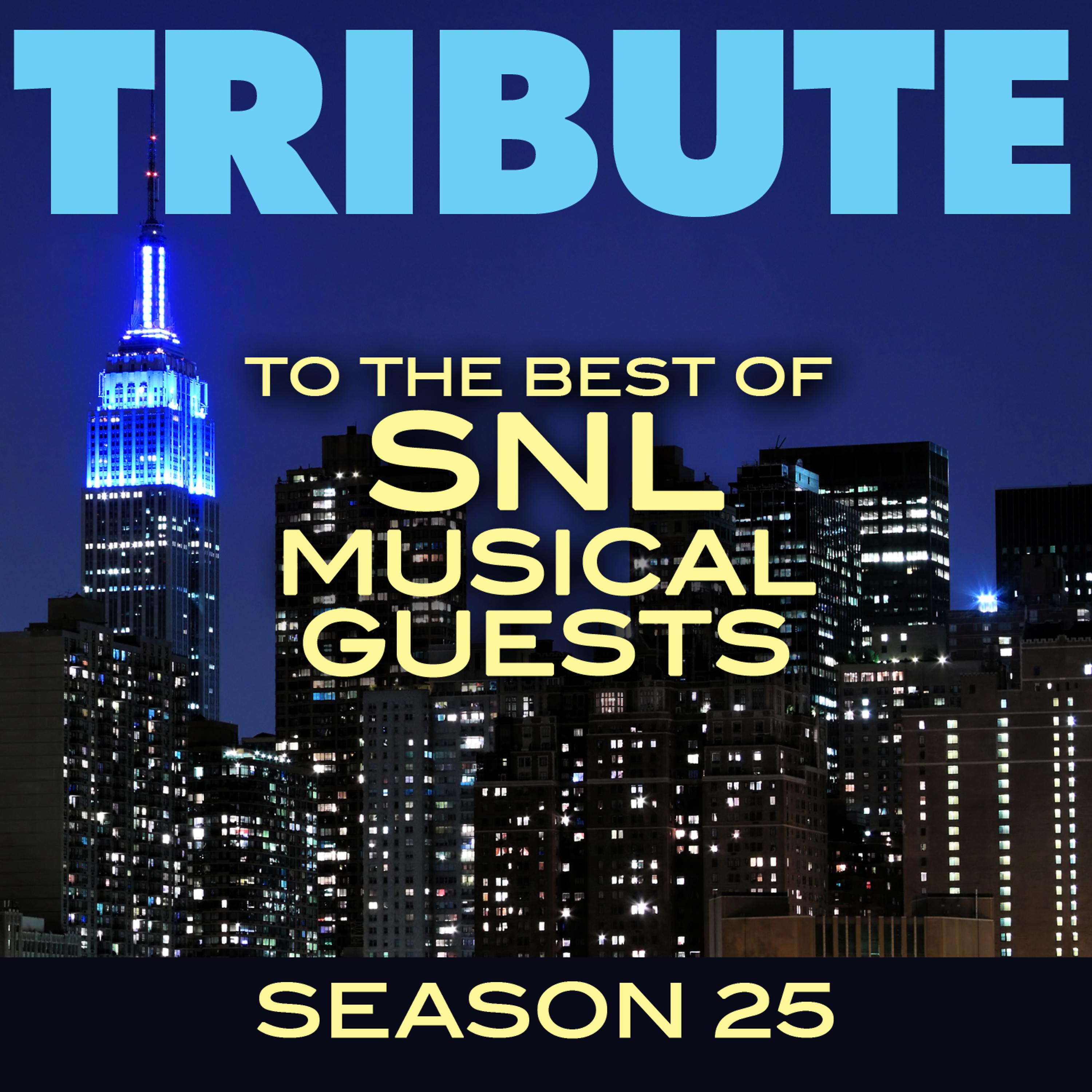 Постер альбома Tribute to the Best of SNL Musical Guests Season 25