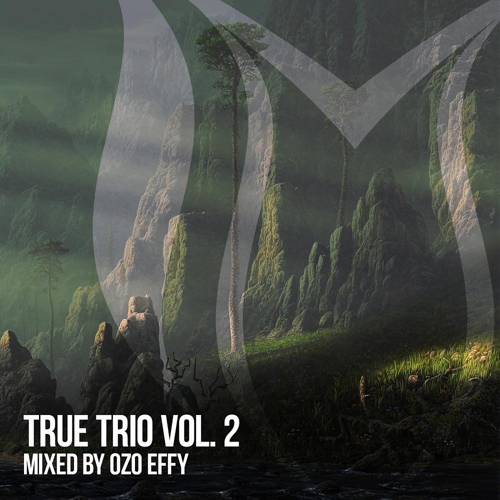 Постер альбома True Trio, Vol. 2