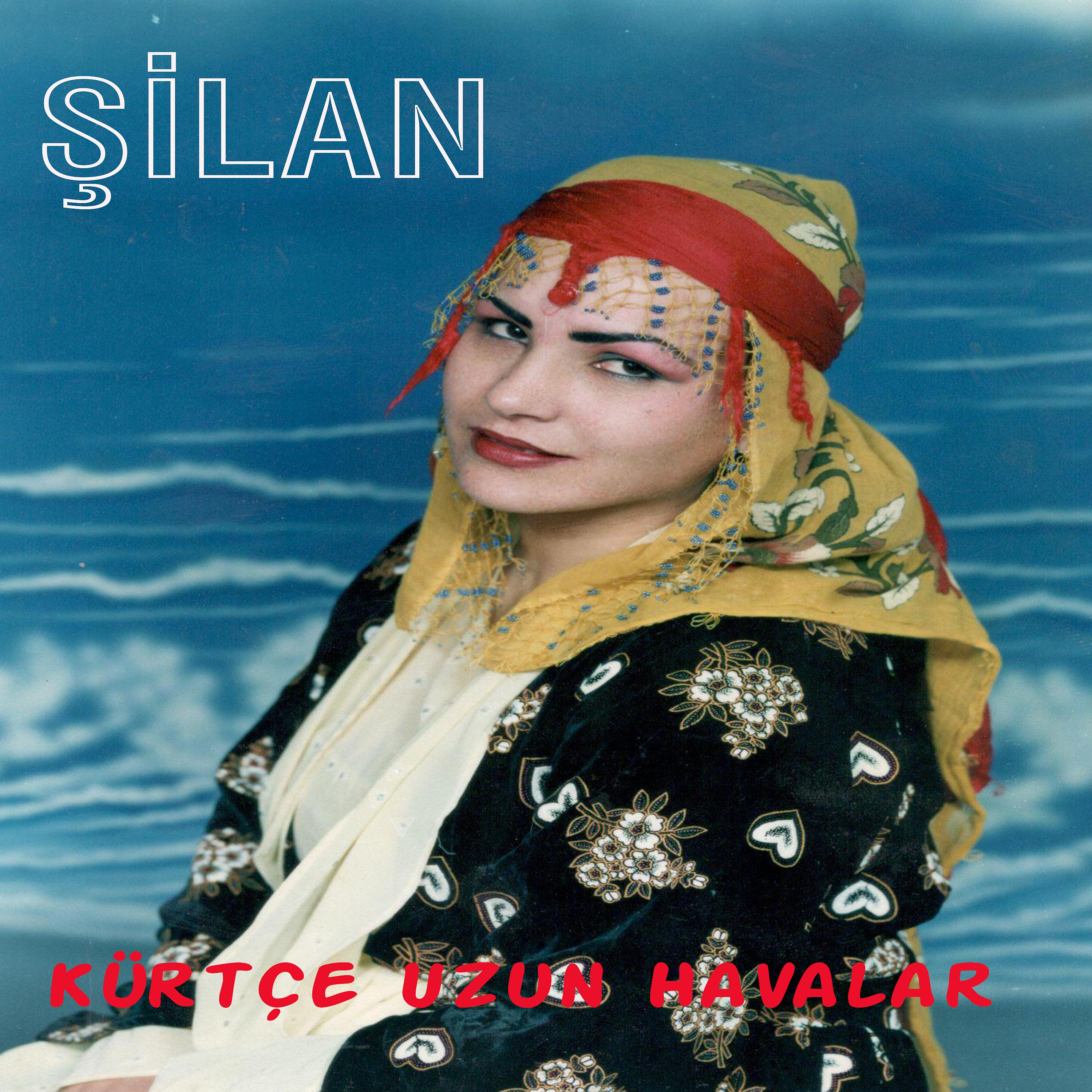 Постер альбома Kürtçe Uzun Havalar