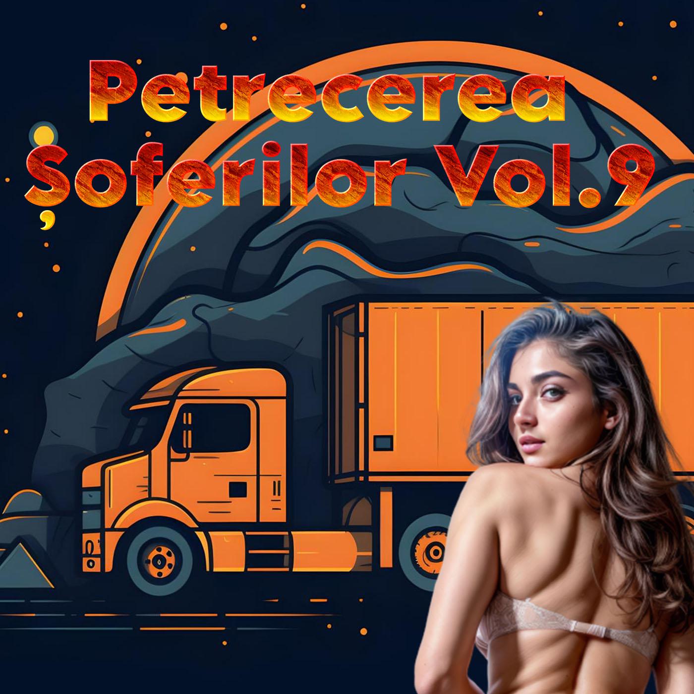 Постер альбома Petrecerea Șoferilor, Vol. 9