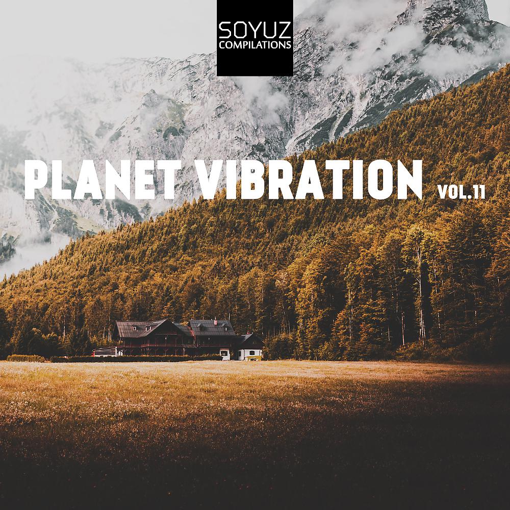 Постер альбома Planet Vibration, Vol. 11