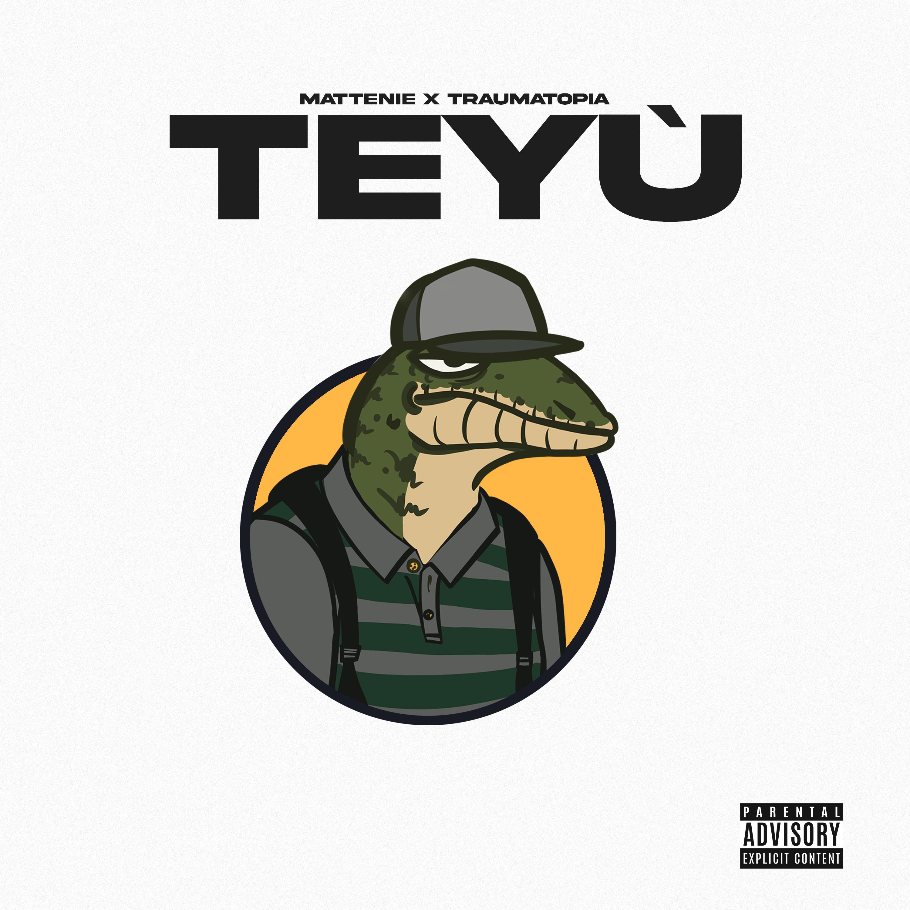 Постер альбома Teyù